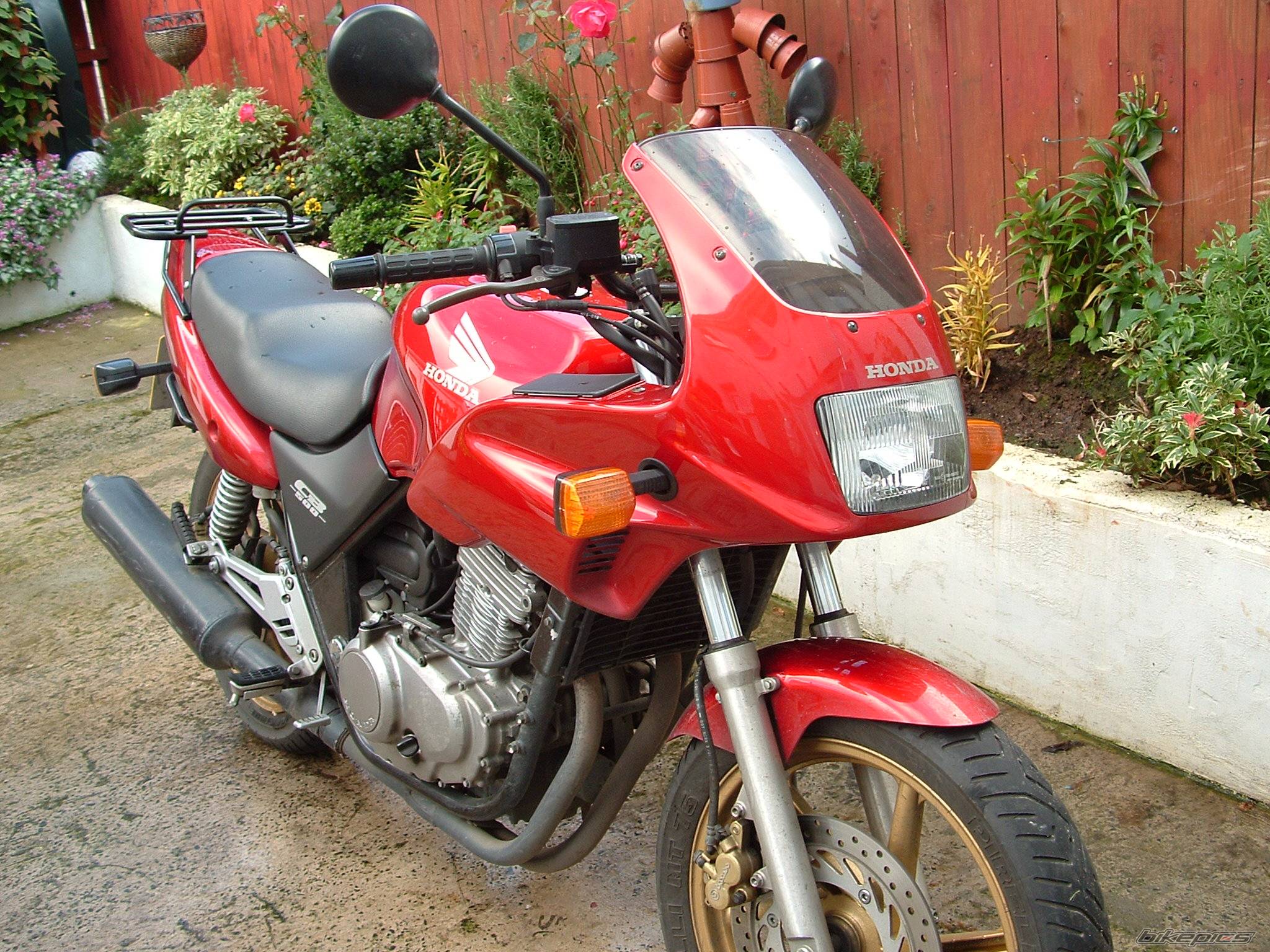 Photo 239385