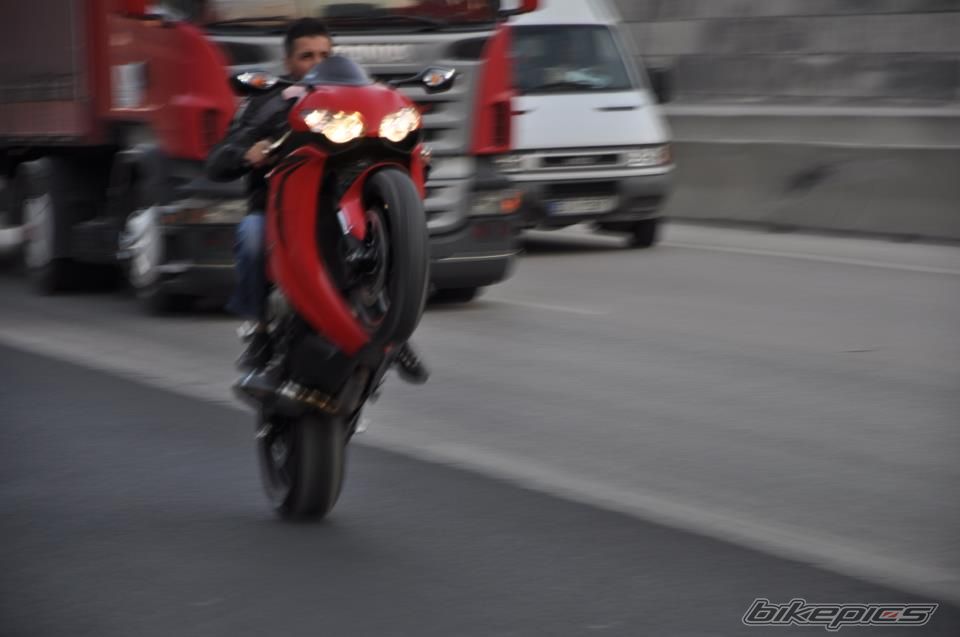 Photo 2393879
