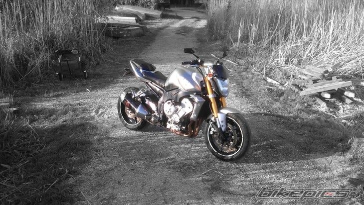 Photo 2393897