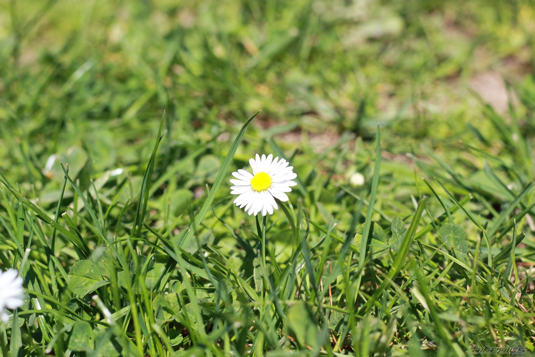 Photo 2393908