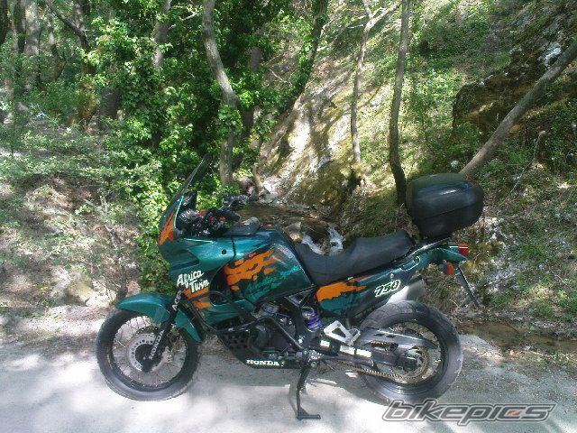 Photo 2393918