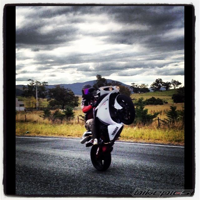 Photo 2394132