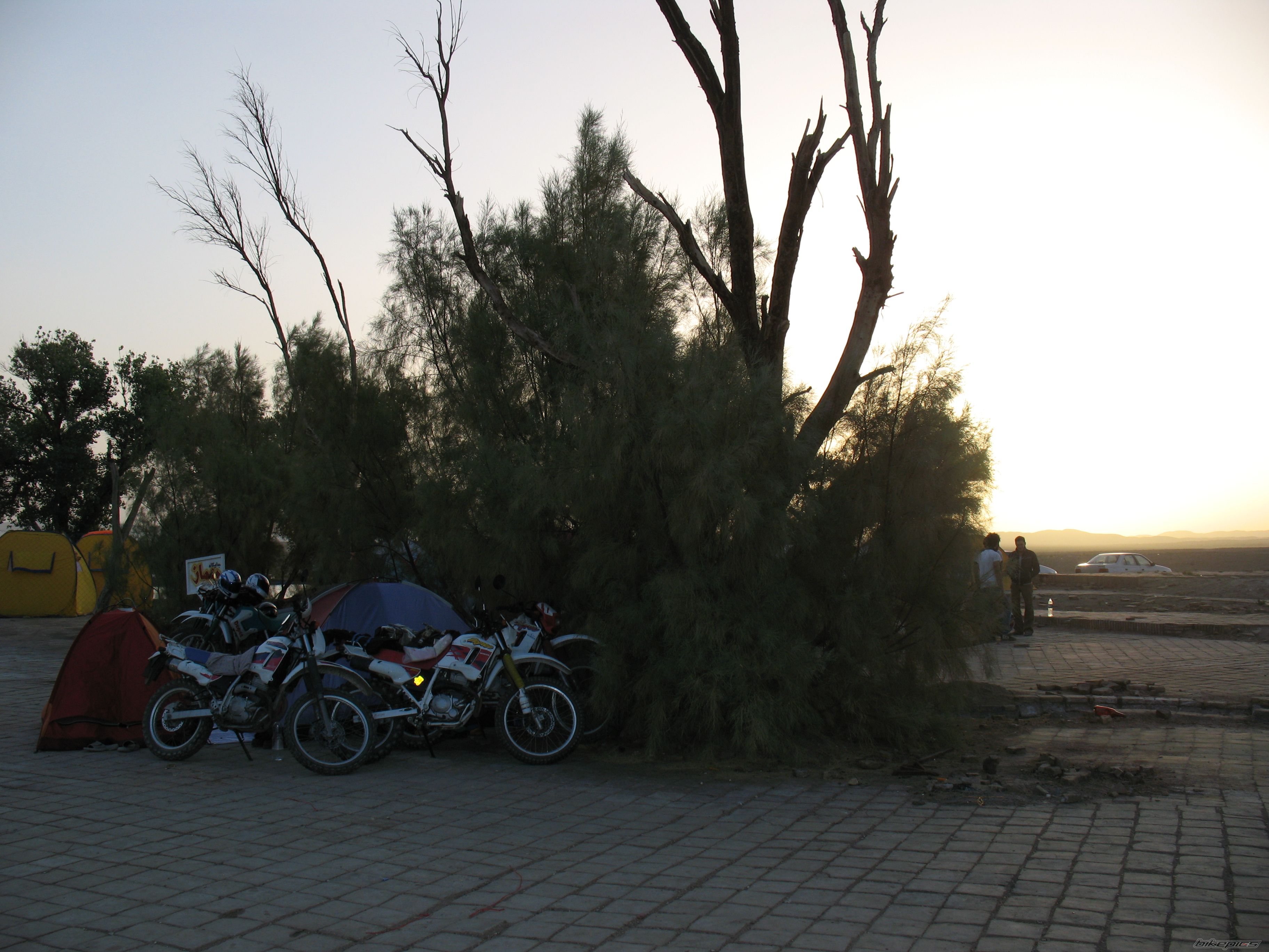 Photo 2394167