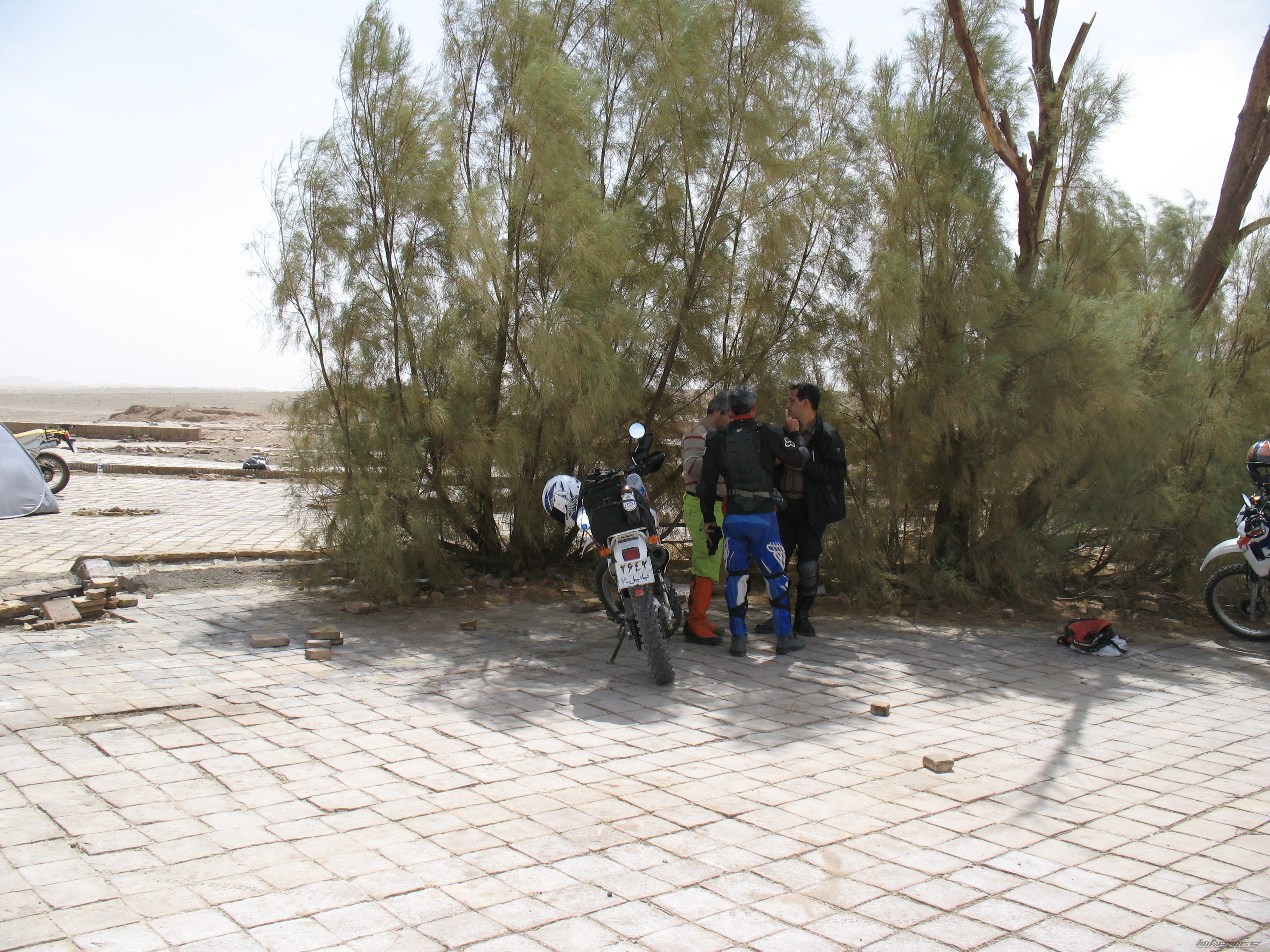 Bike Photo 2394170