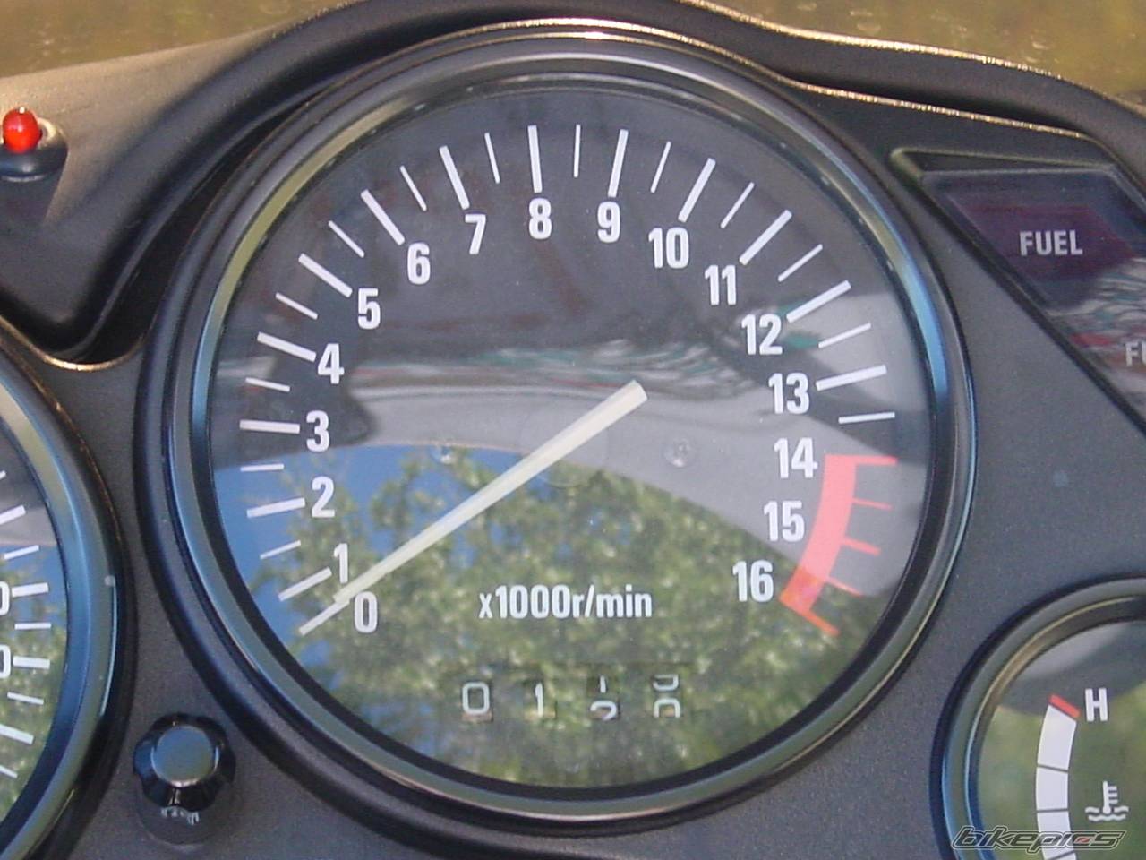 Photo 239420