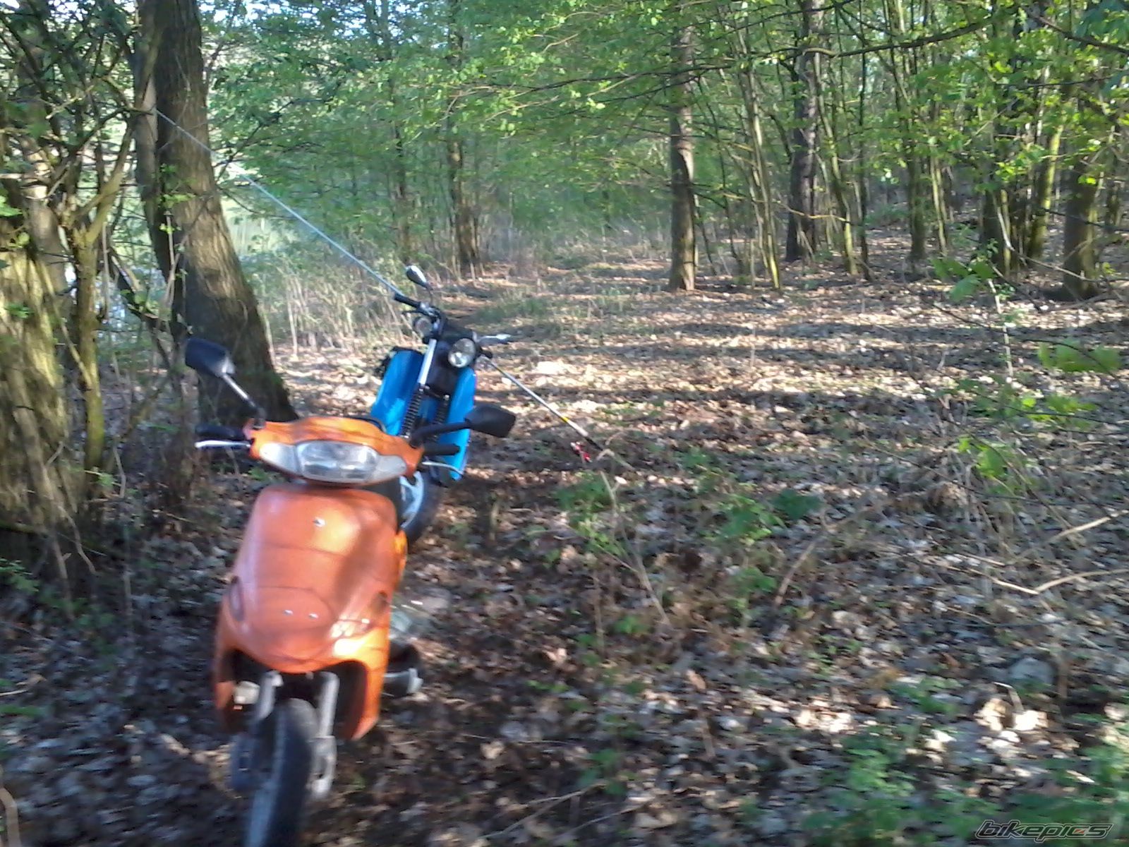 Photo 2394224