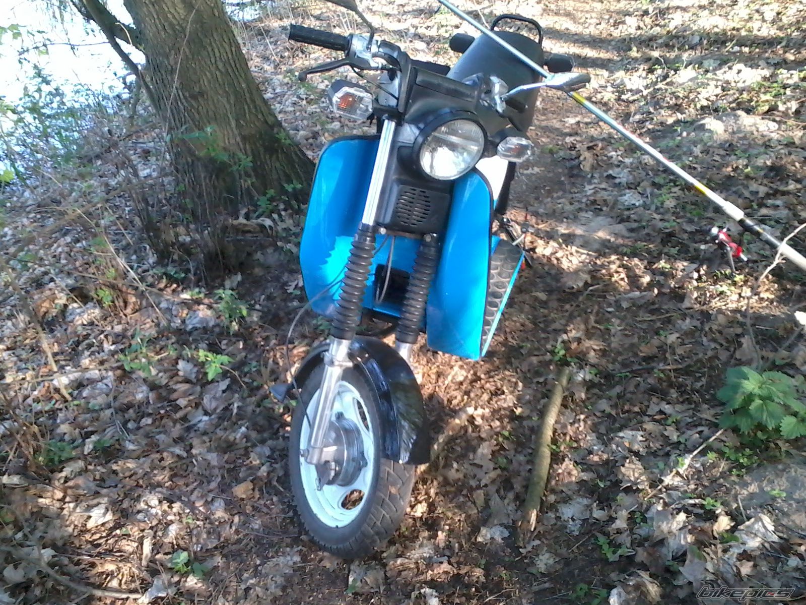 Photo 2394225