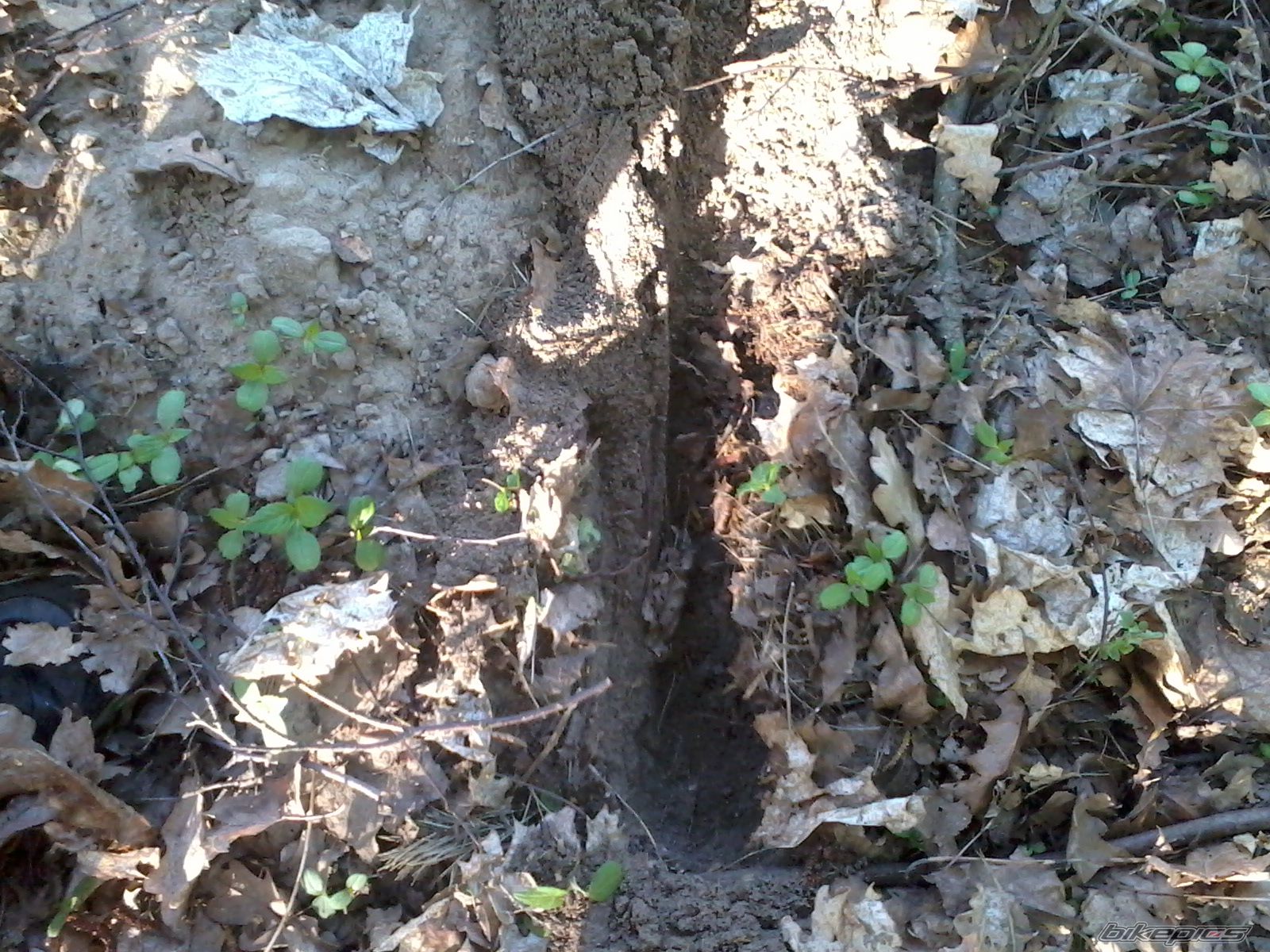 Photo 2394226
