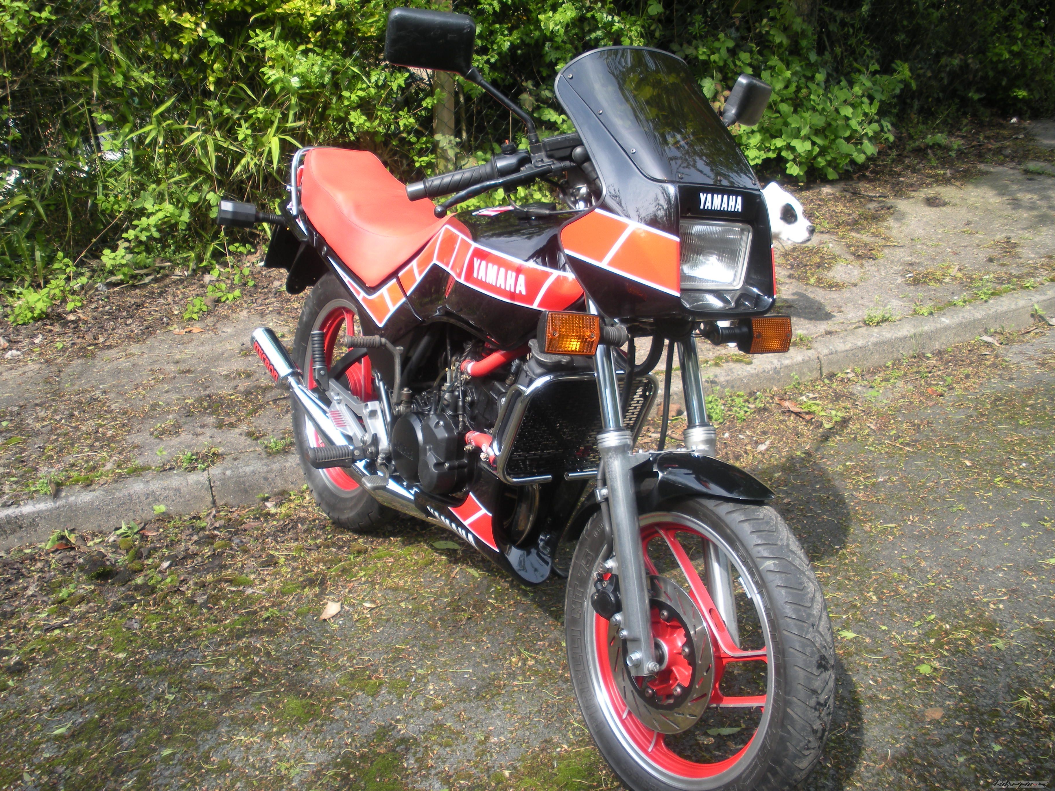 Photo 2394231