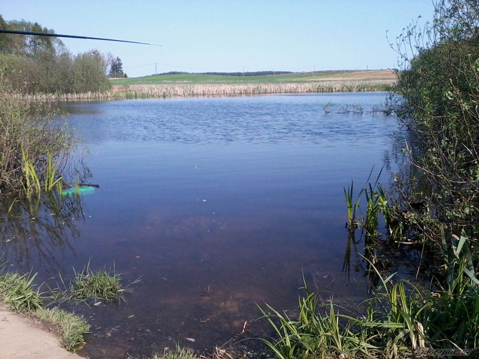 Photo 2394232