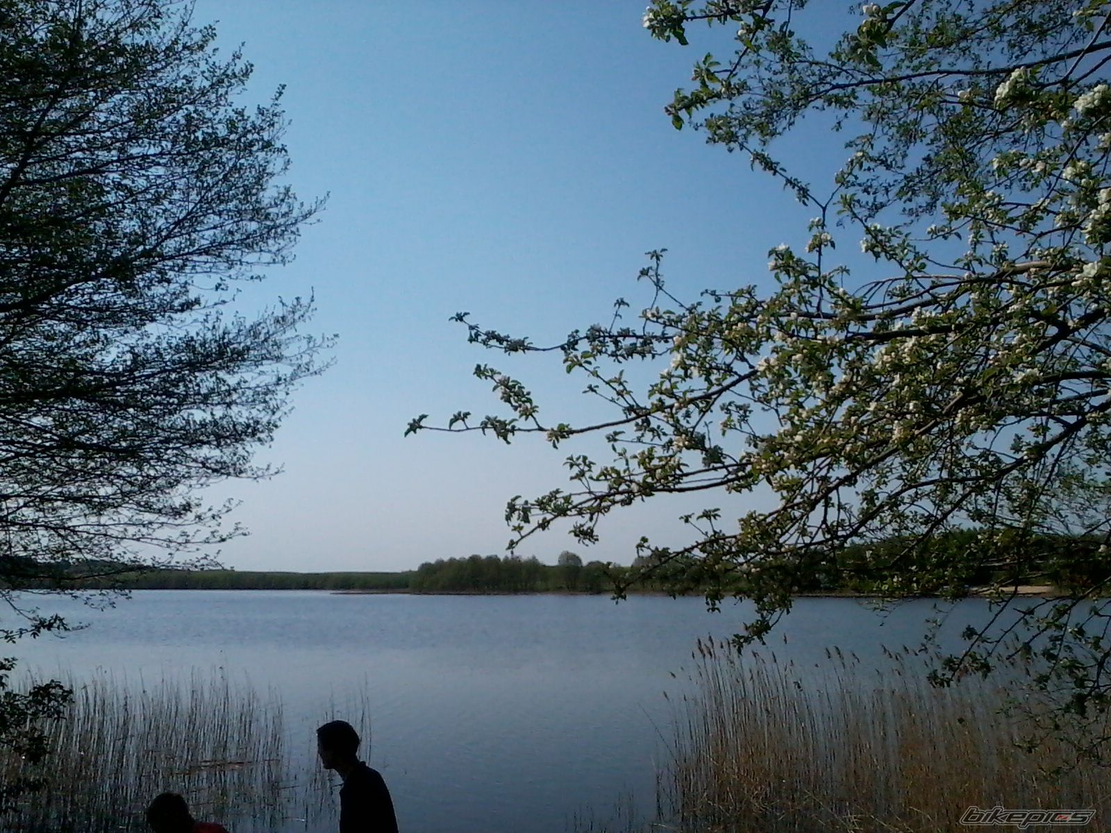 Photo 2394241