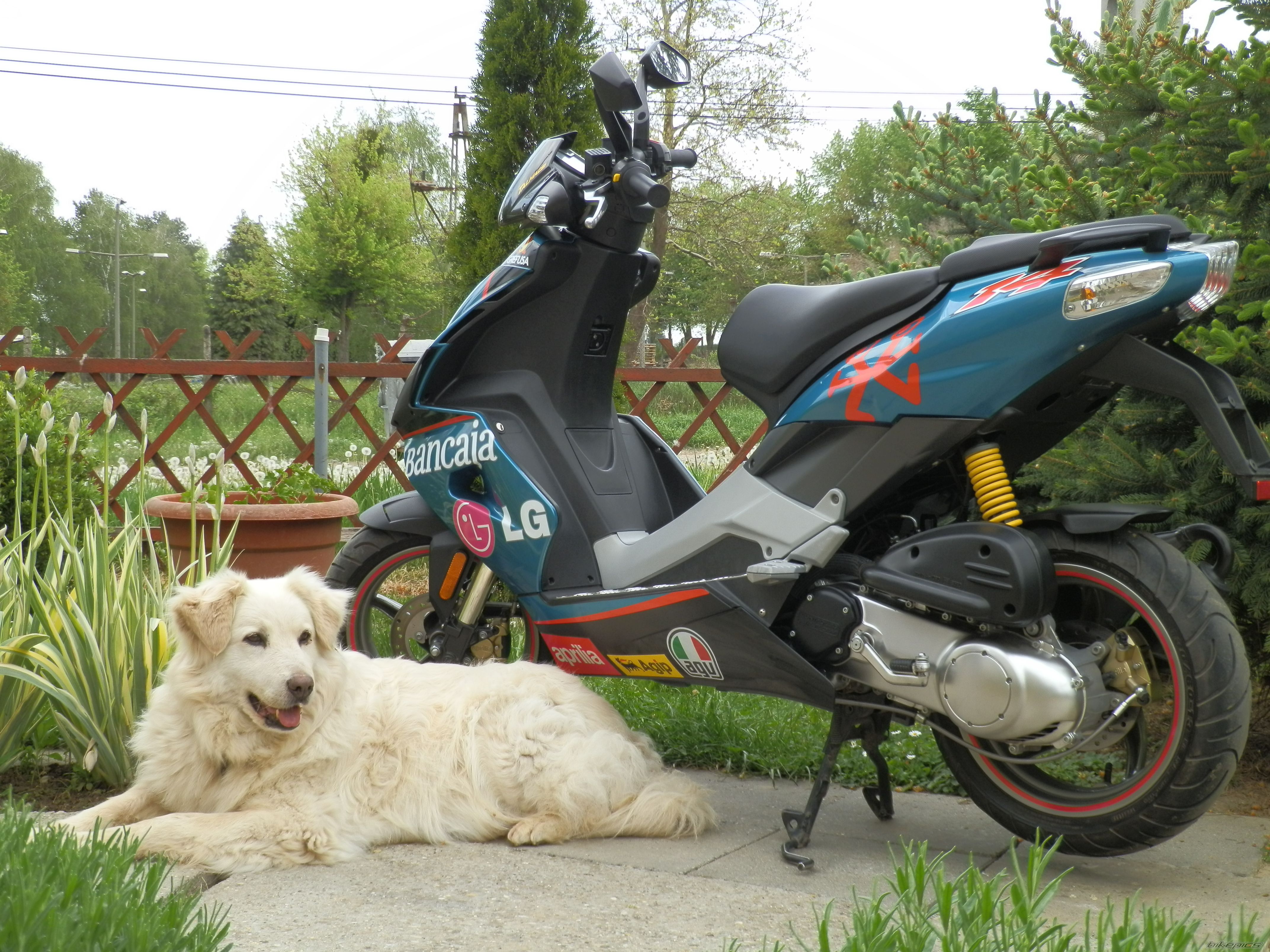 Bike Photo 2394360