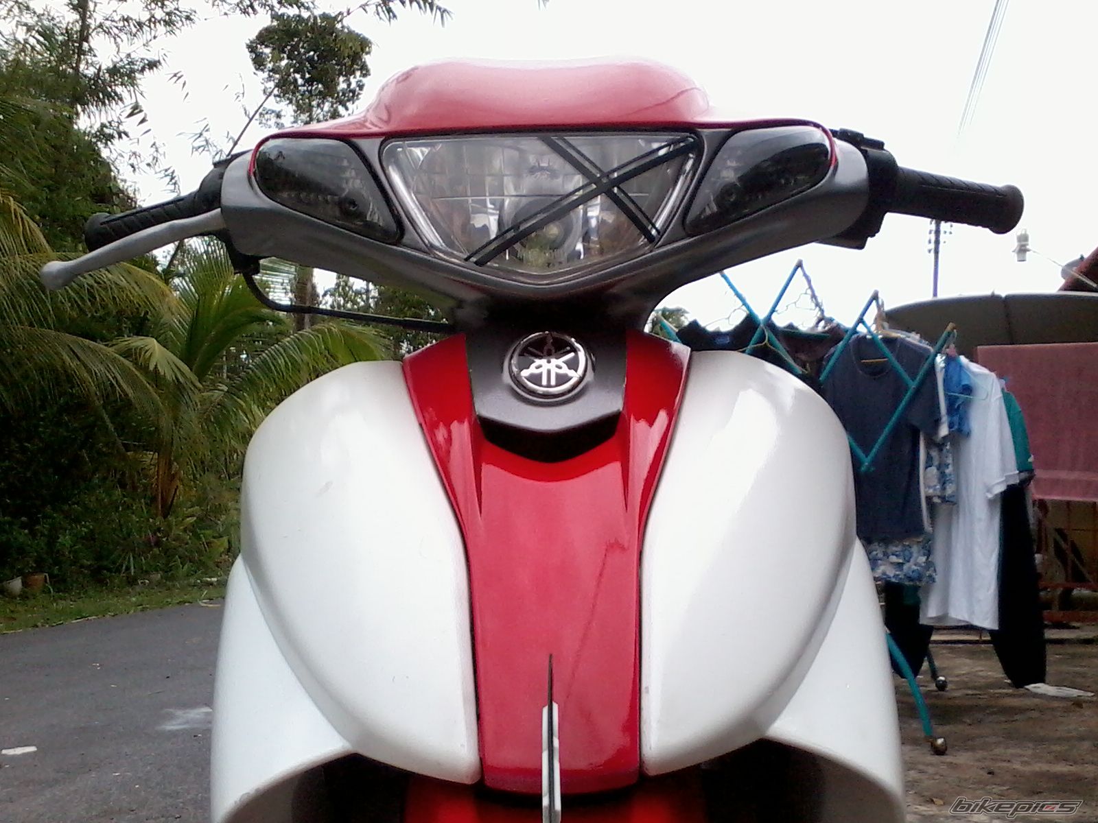 Photo 2394412