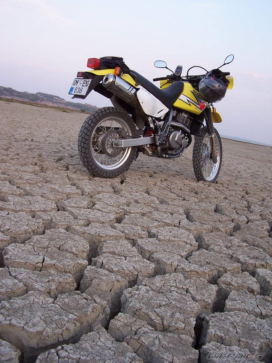 Bike Photo 239444