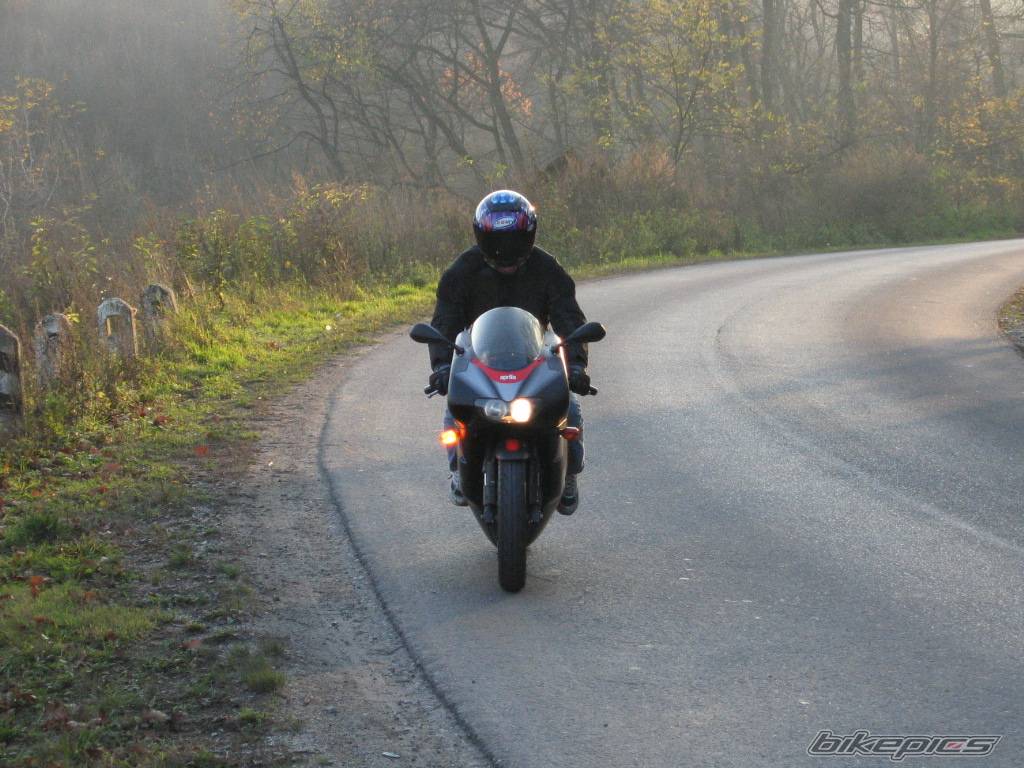 Photo 239445
