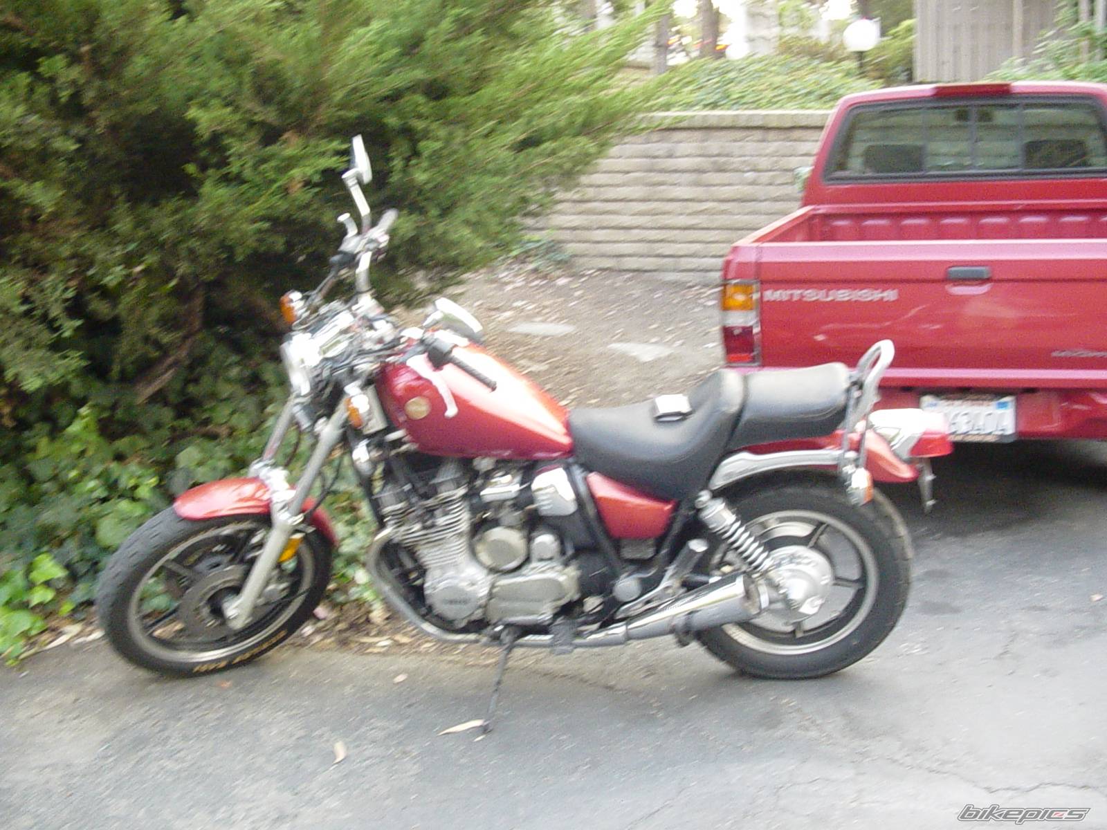 Photo 239446
