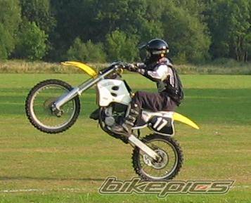 Photo 239447