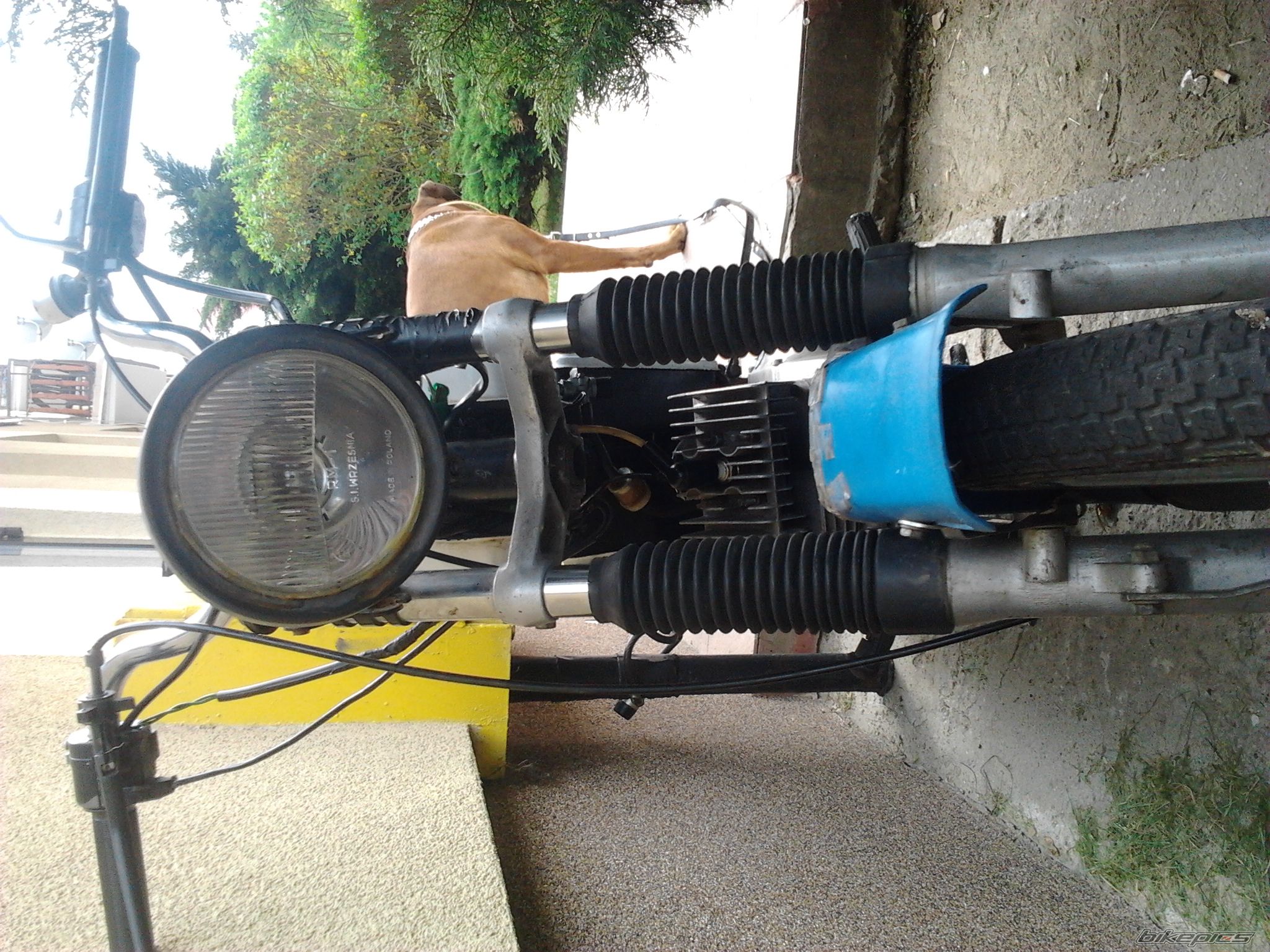 Photo 2394478