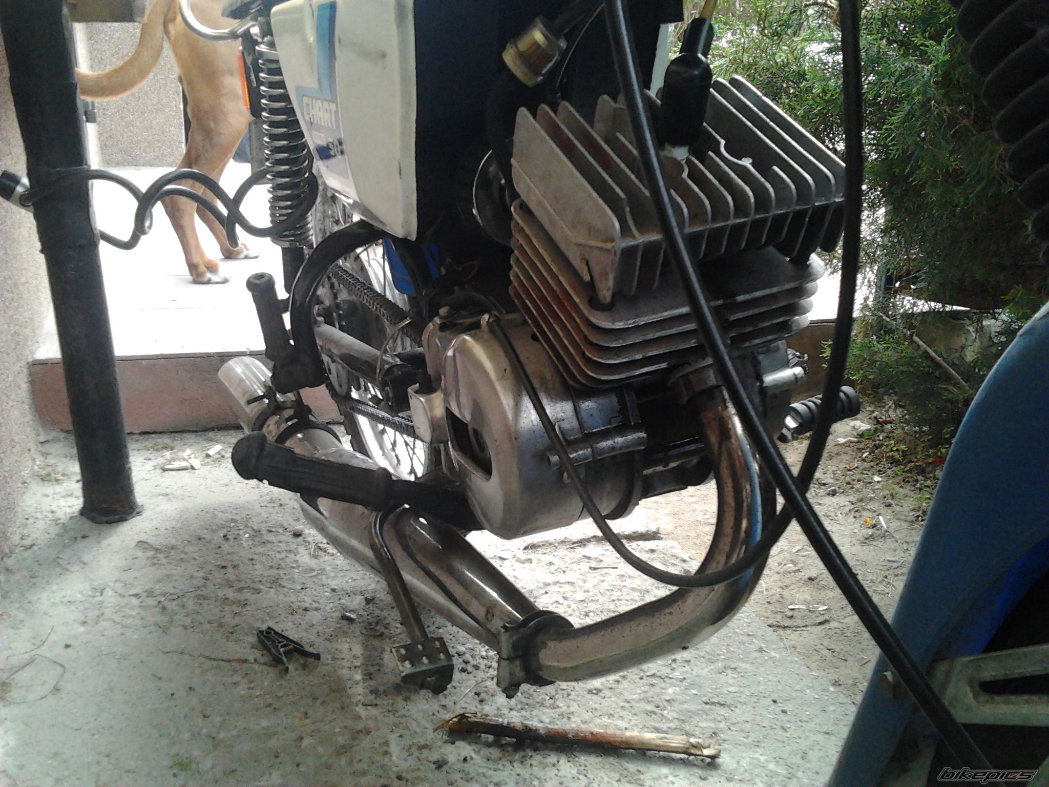 Bike Photo 2394480