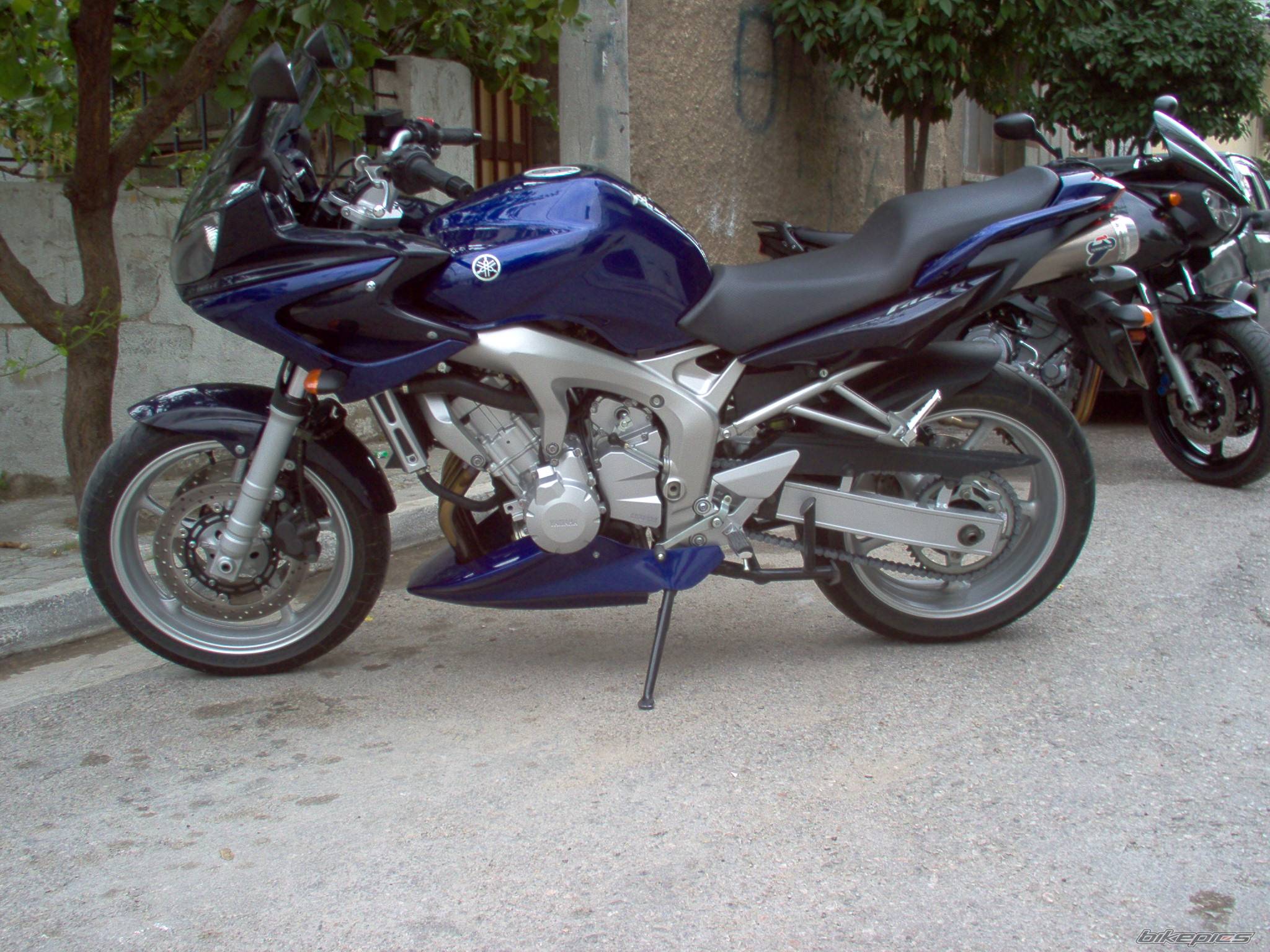 Photo 239450