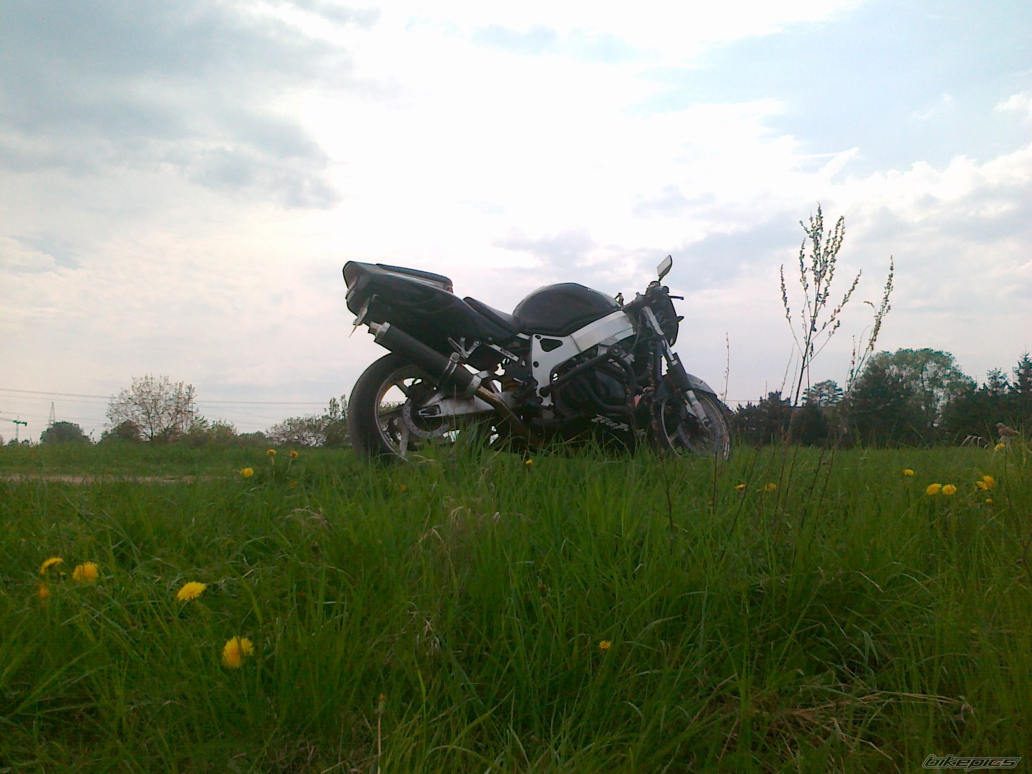 Photo 2394519