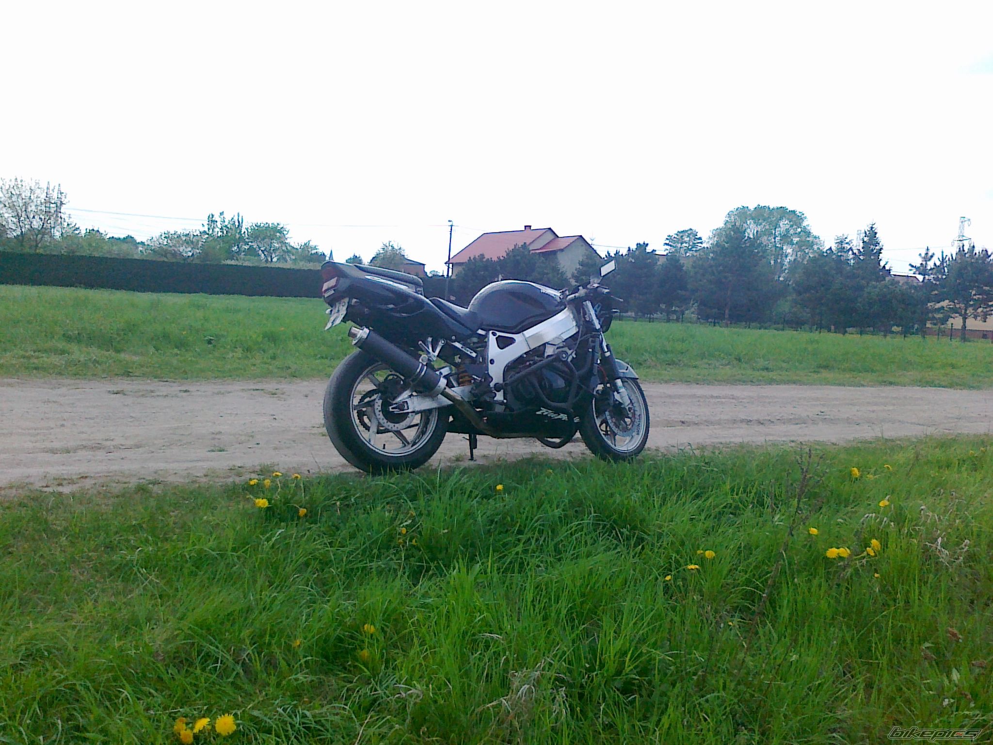 Photo 2394521