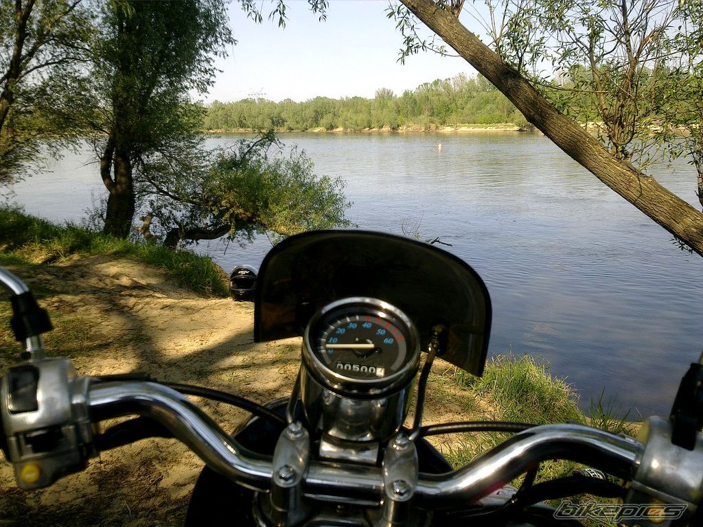 Photo 2394611