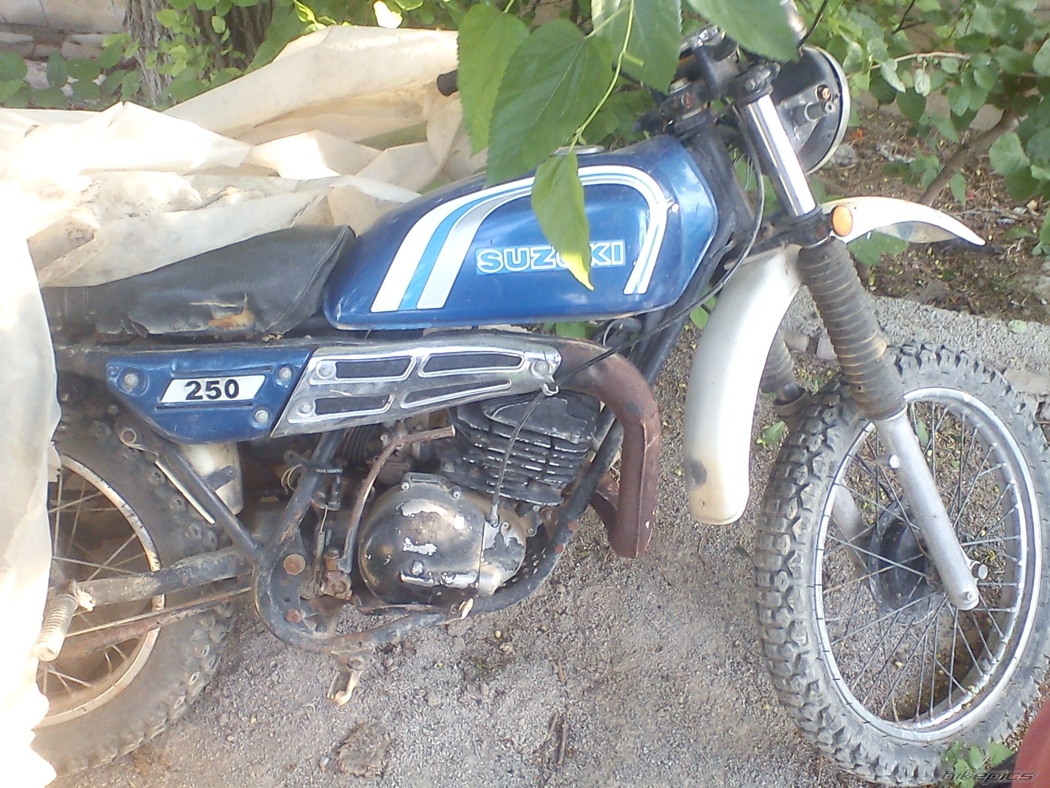 Bike Photo 2394638