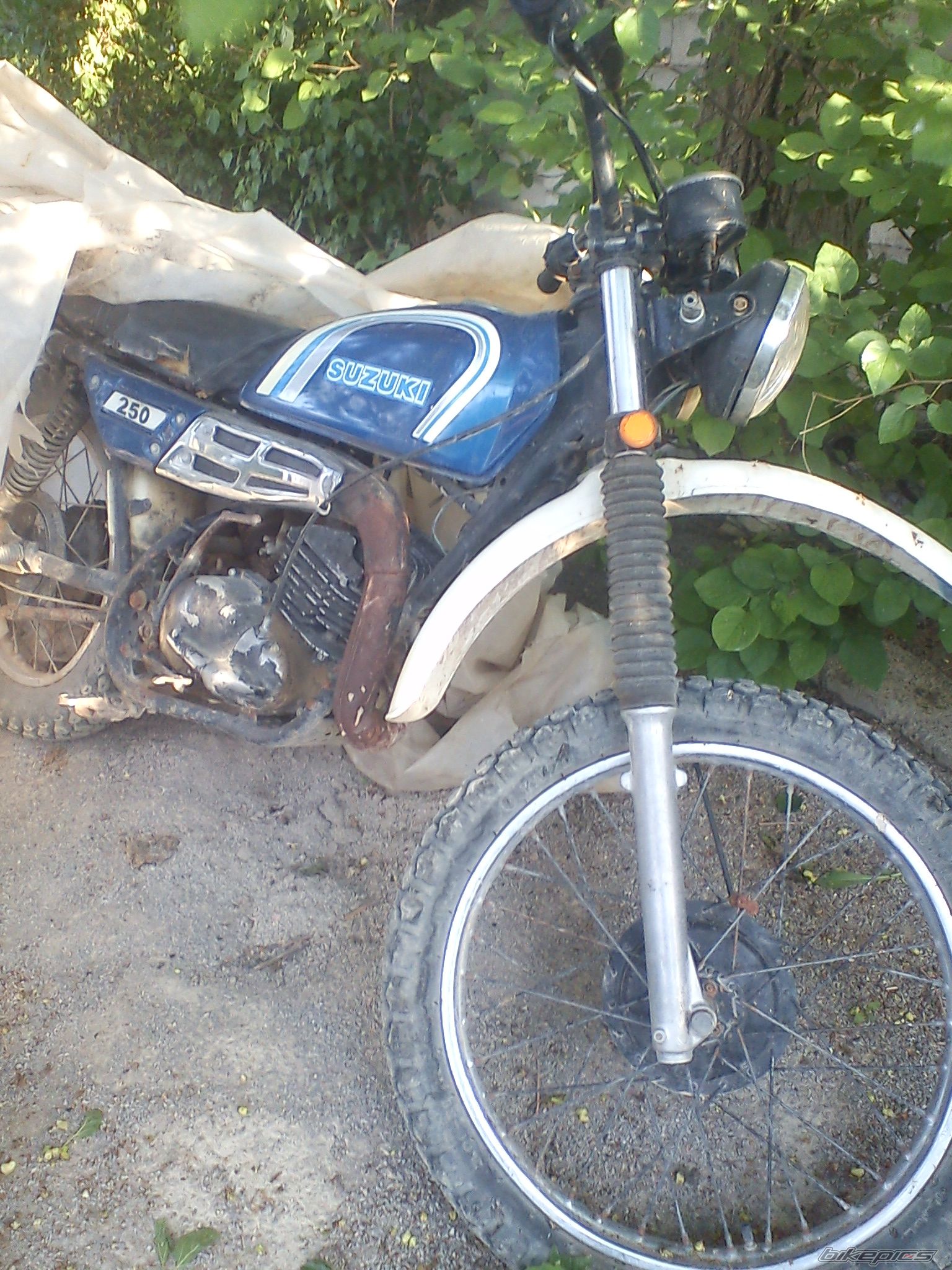 Bike Photo 2394639