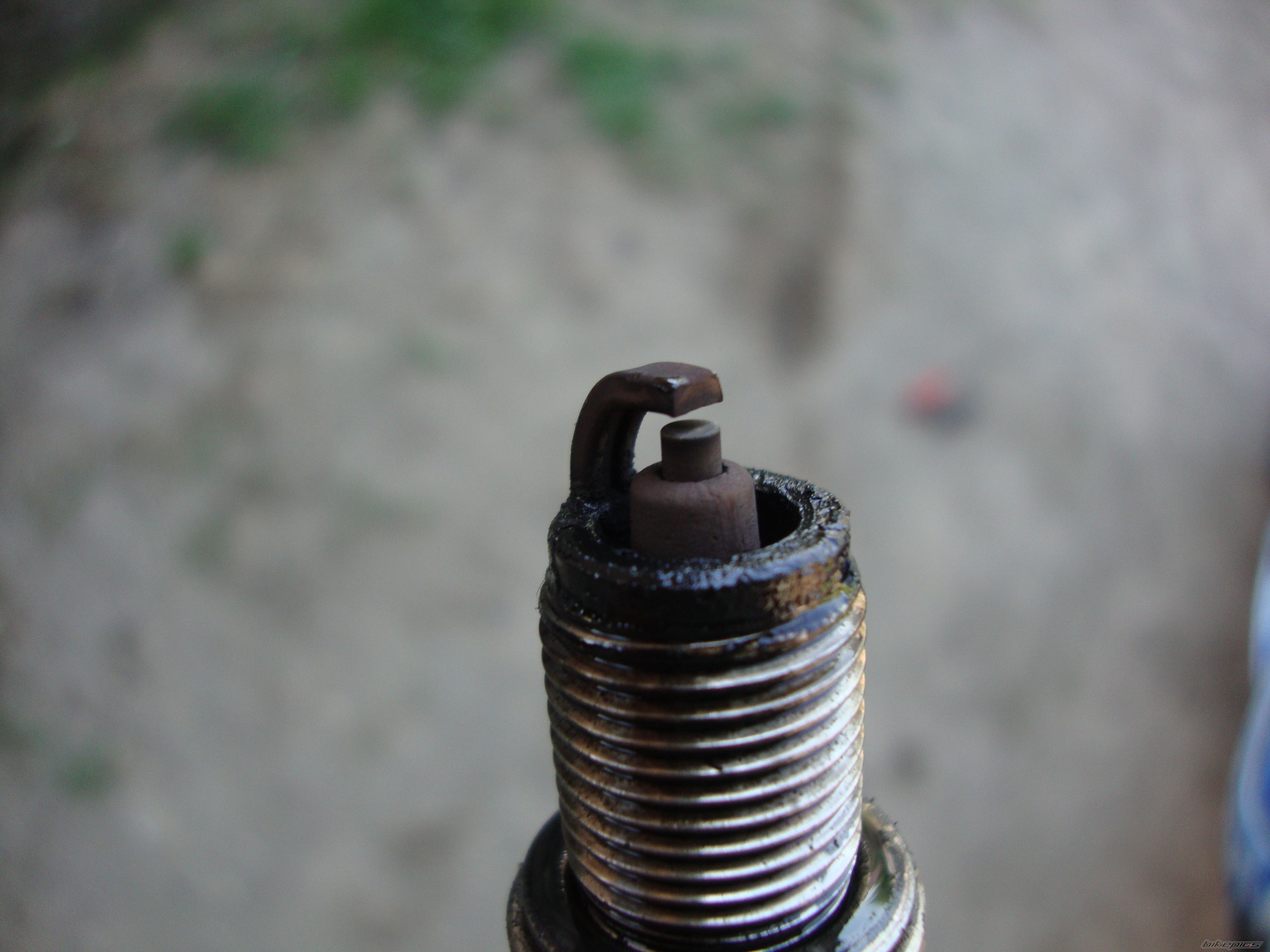 Photo 2394669