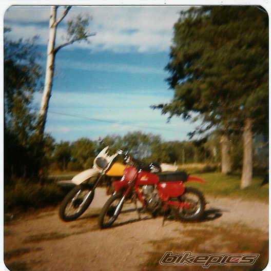 Photo 239469