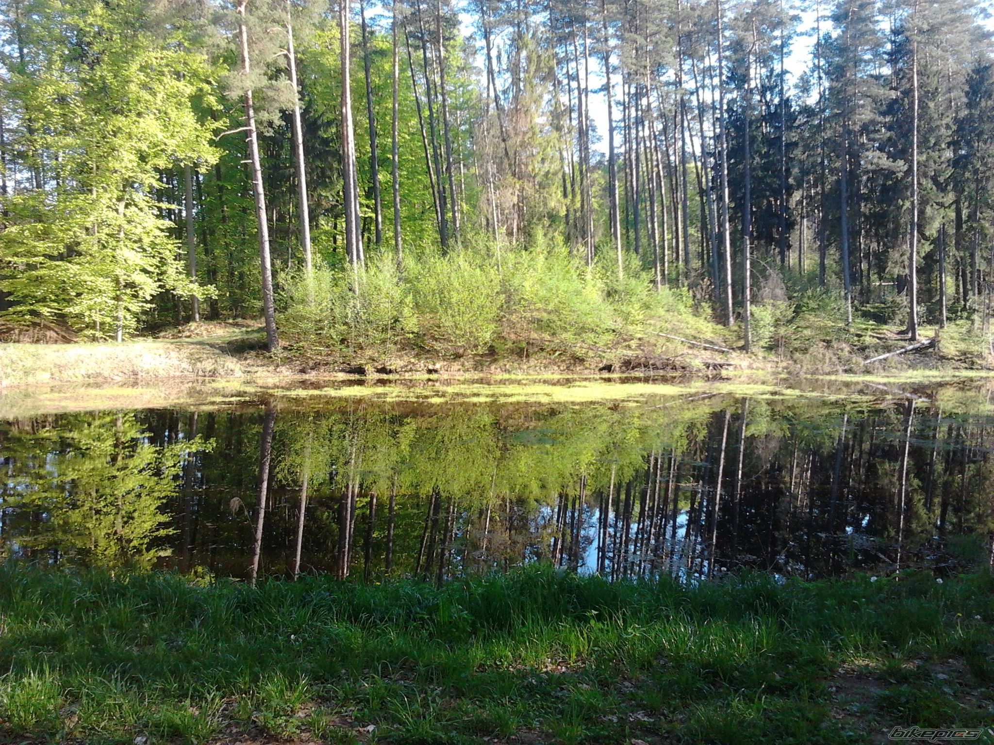 Photo 2394705