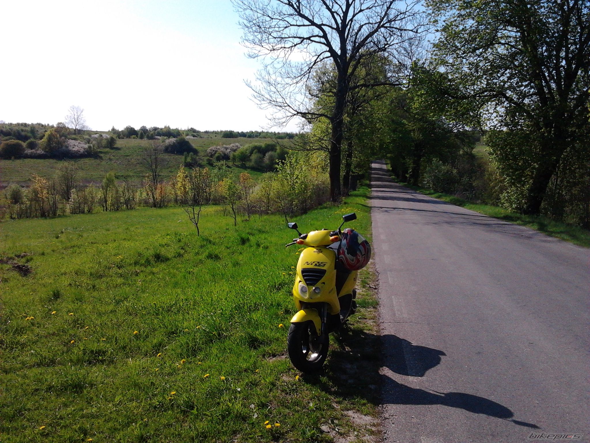 Photo 2394712