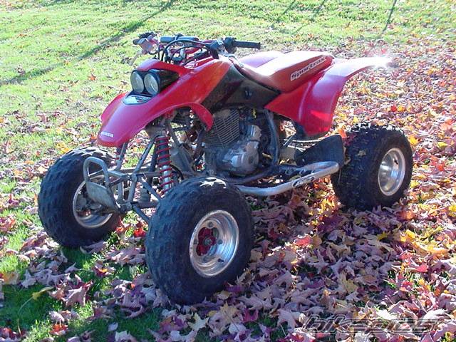 Photo 239474