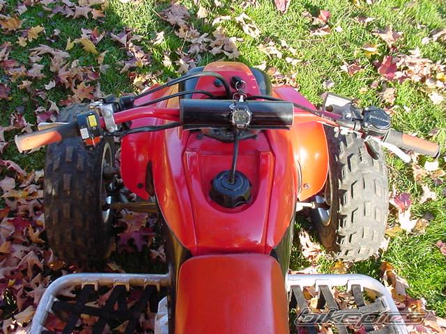 Photo 239476