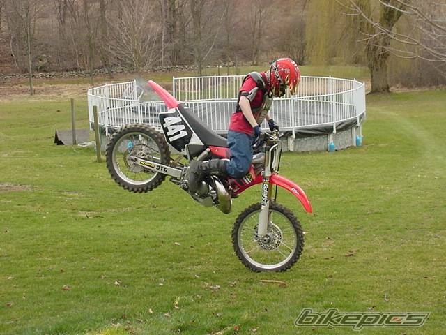 Photo 239478