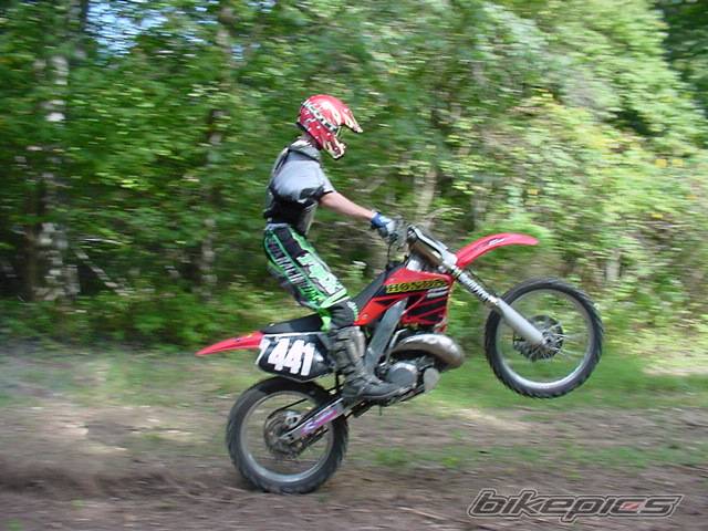 Photo 239479