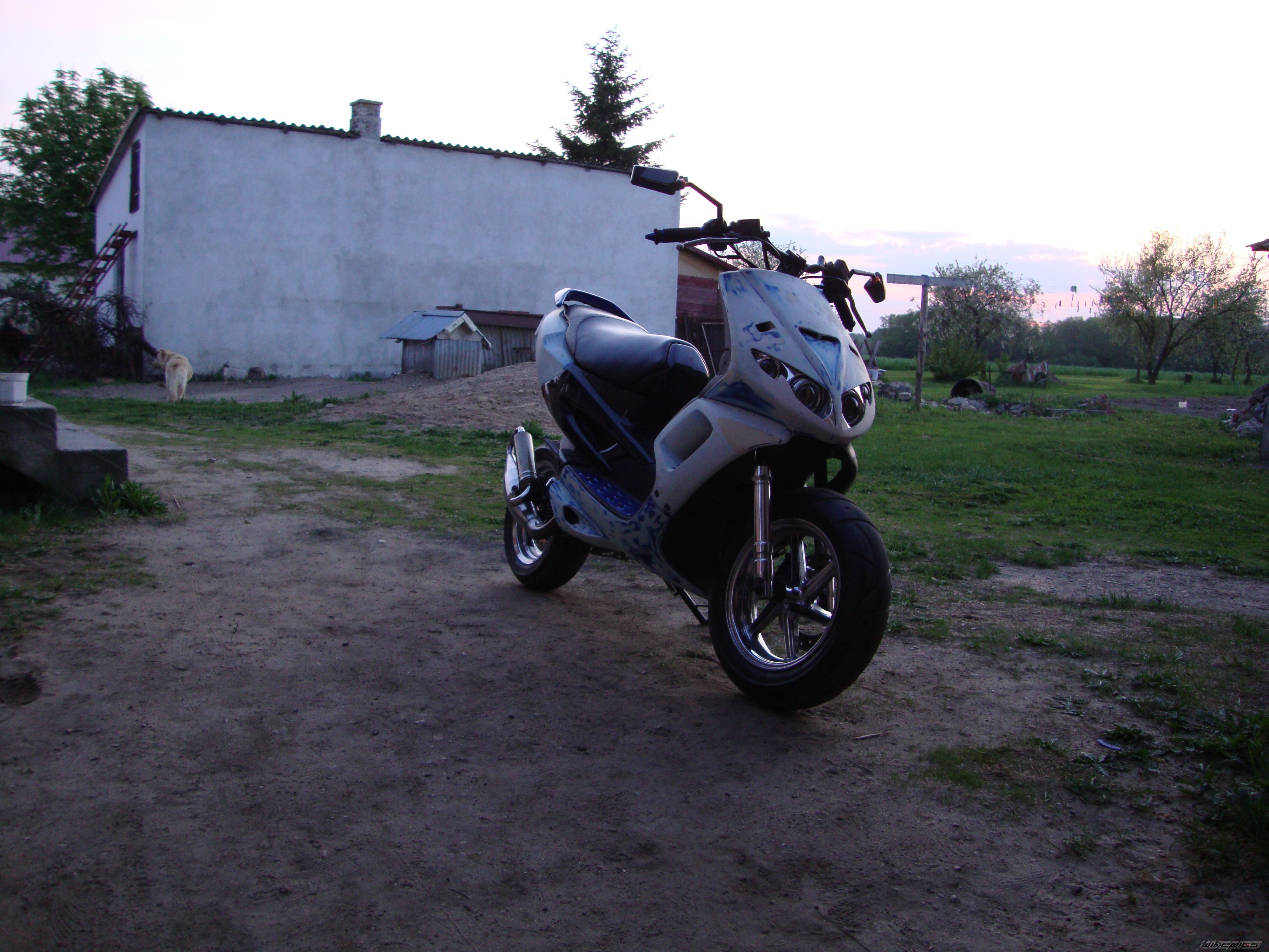 Photo 2394830
