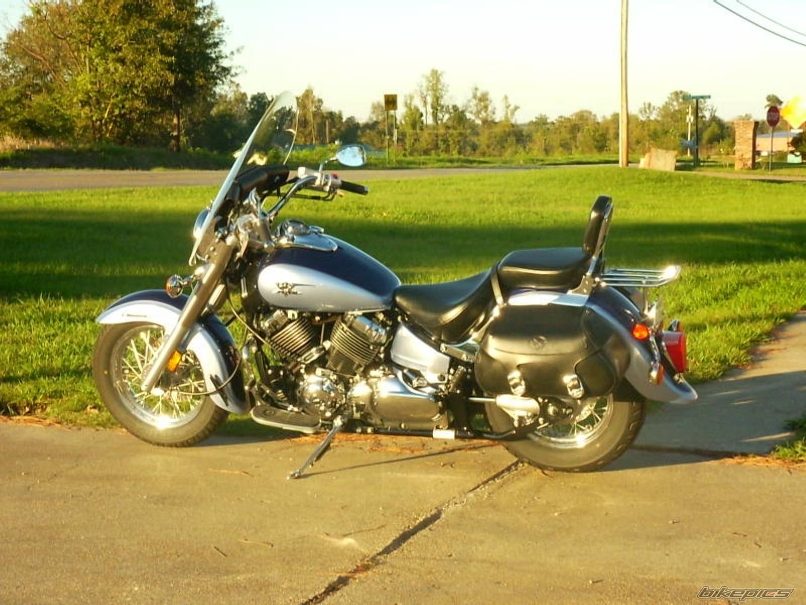 Photo 239491