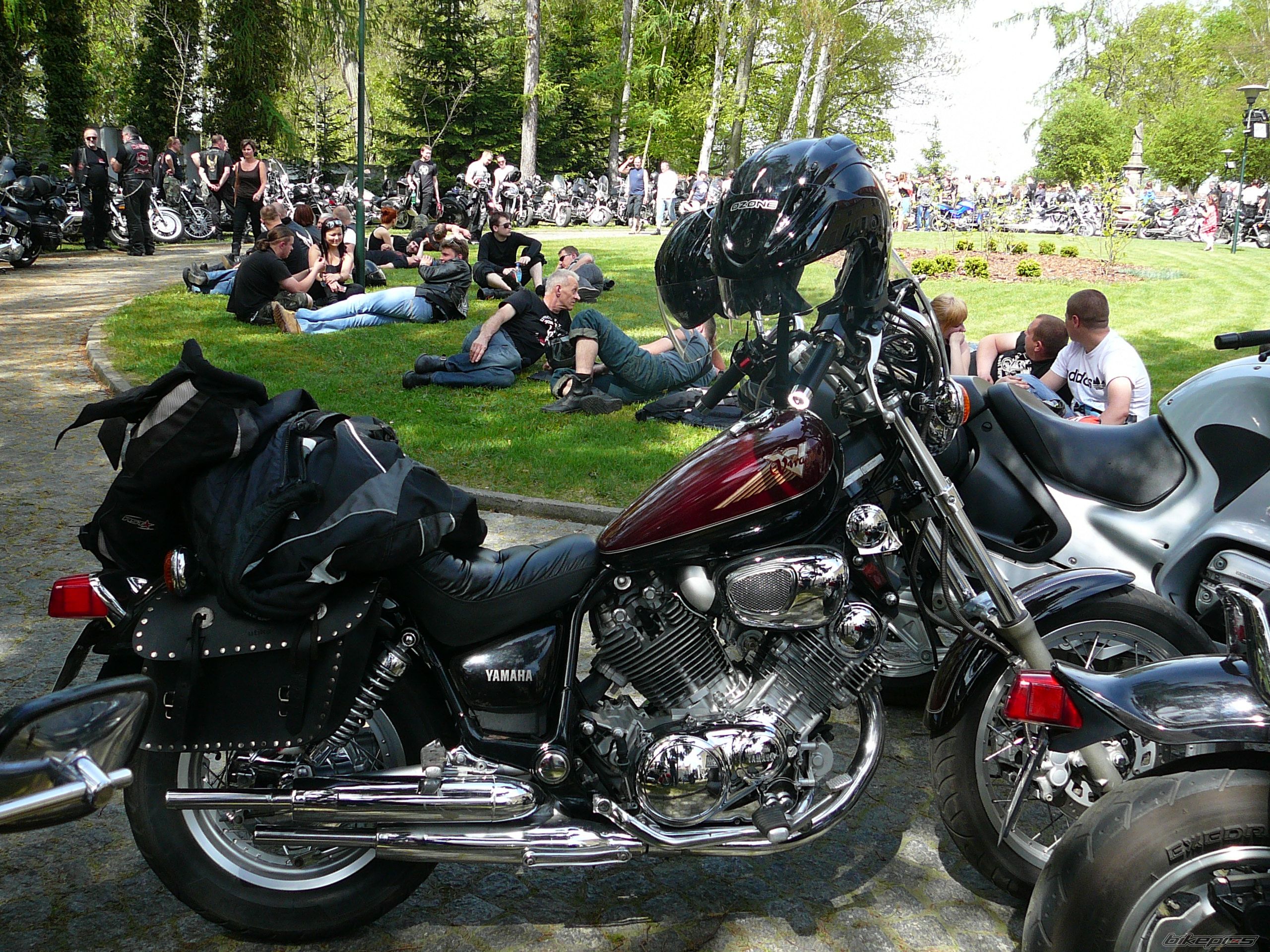 Photo 2395090
