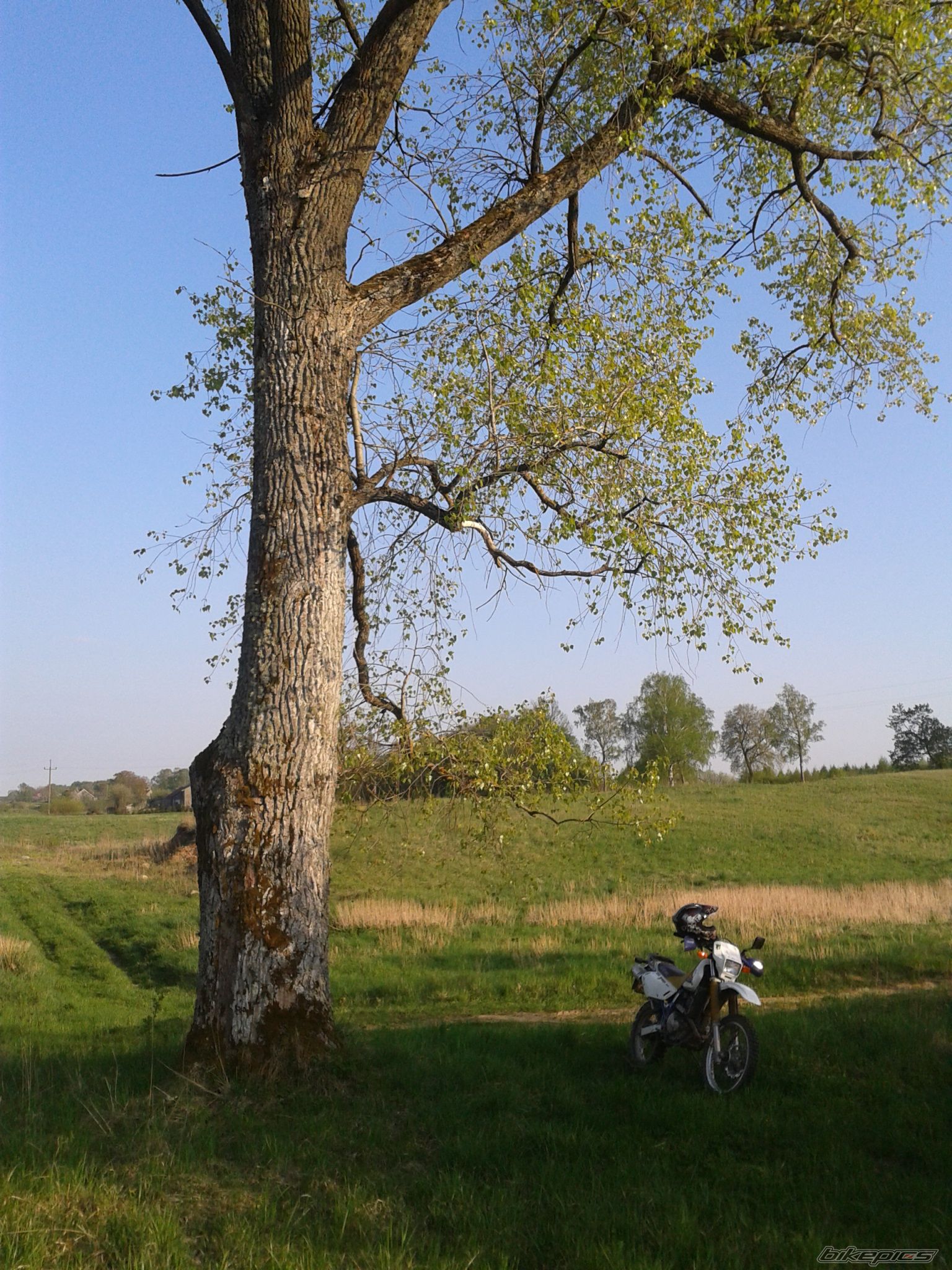 Photo 2395246