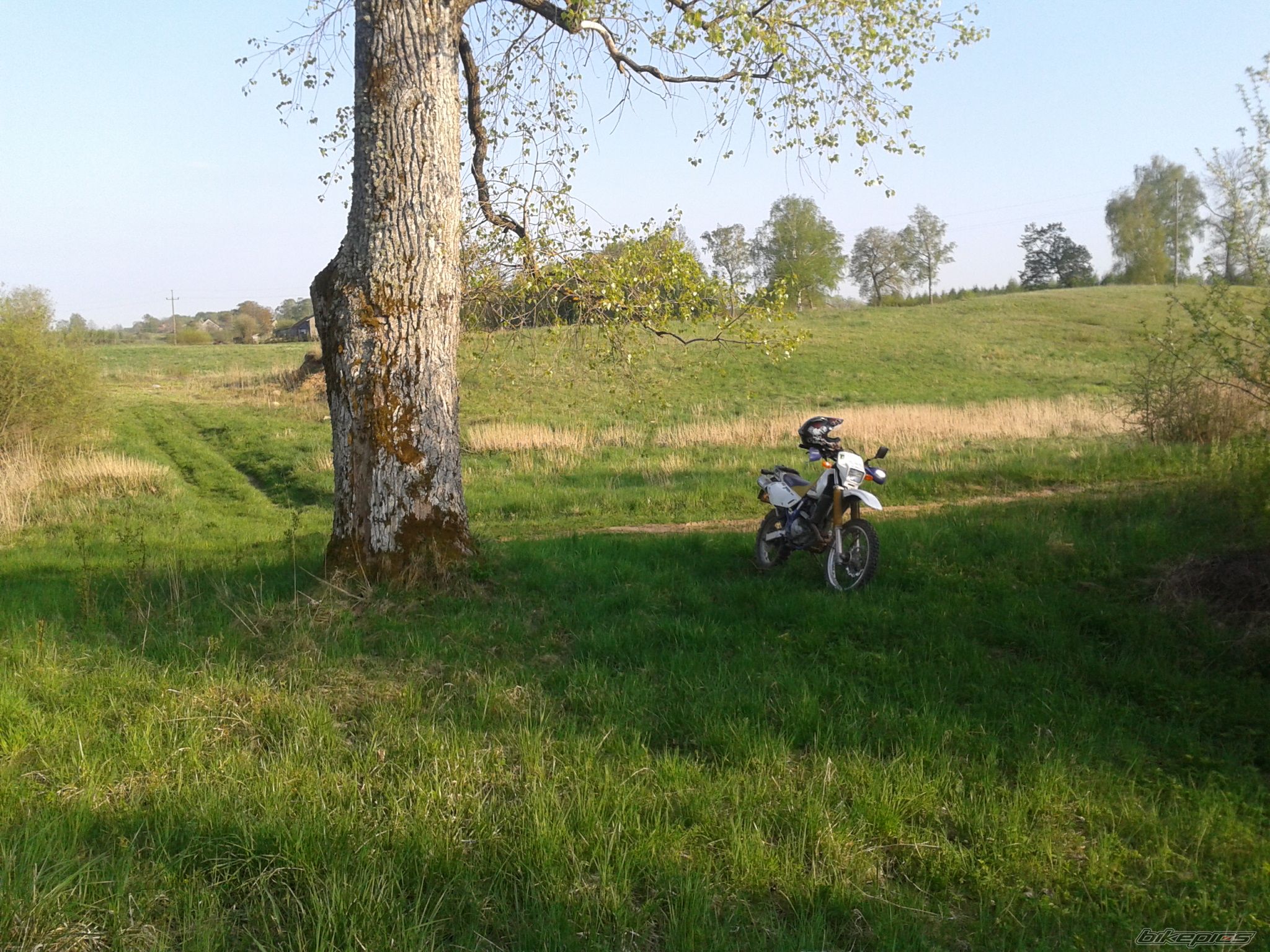 Photo 2395247