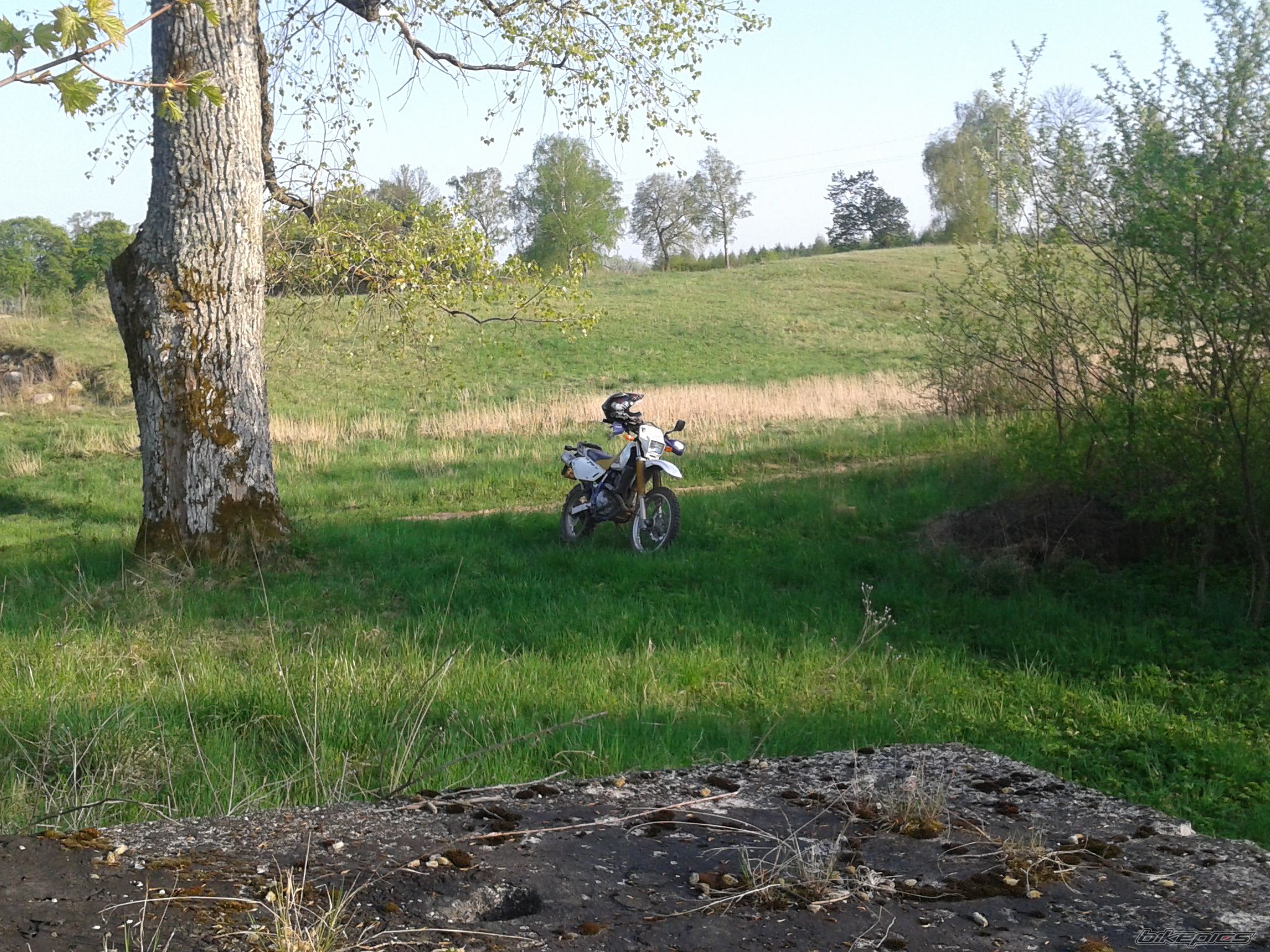 Photo 2395248