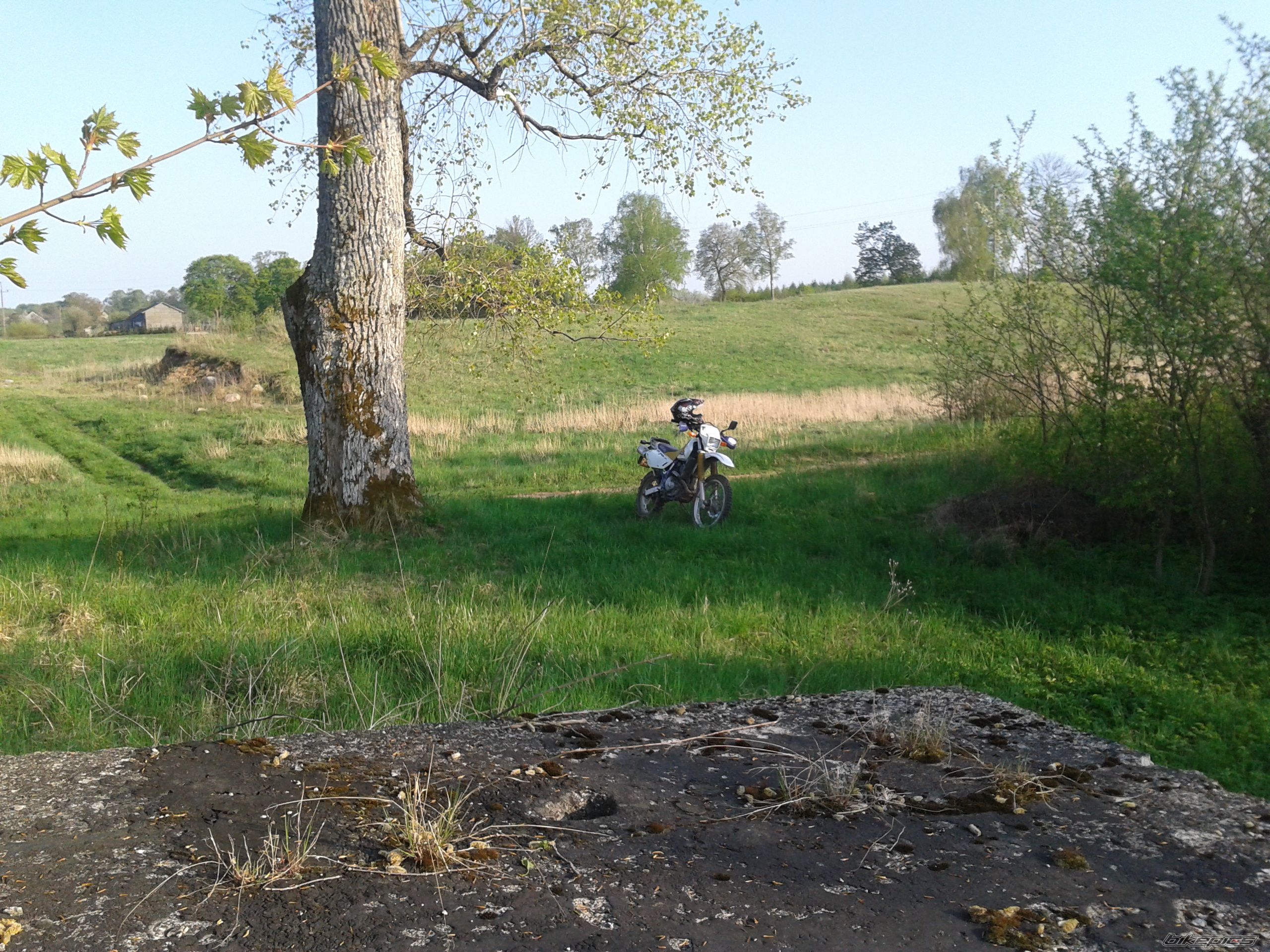 Photo 2395249