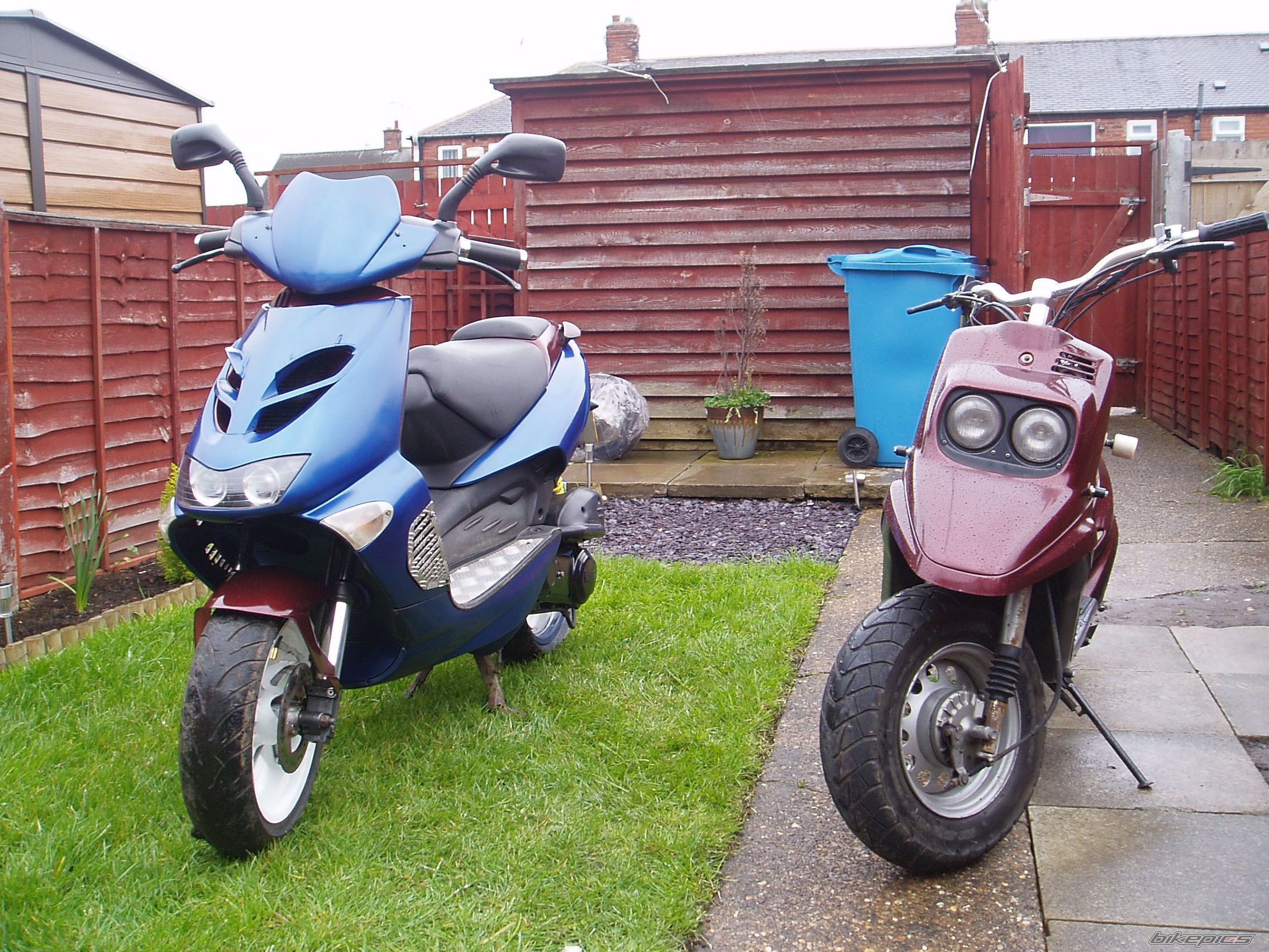 Photo 2395275