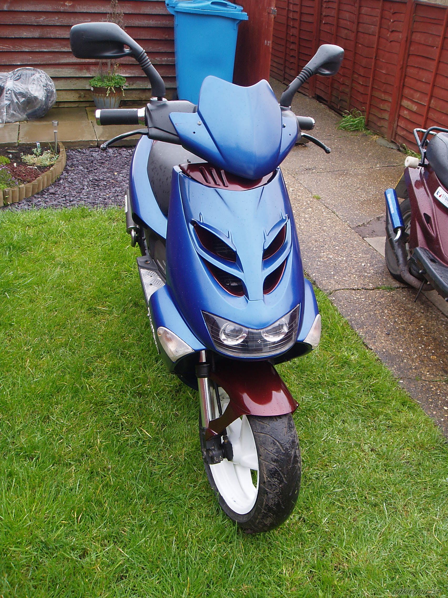 Photo 2395278