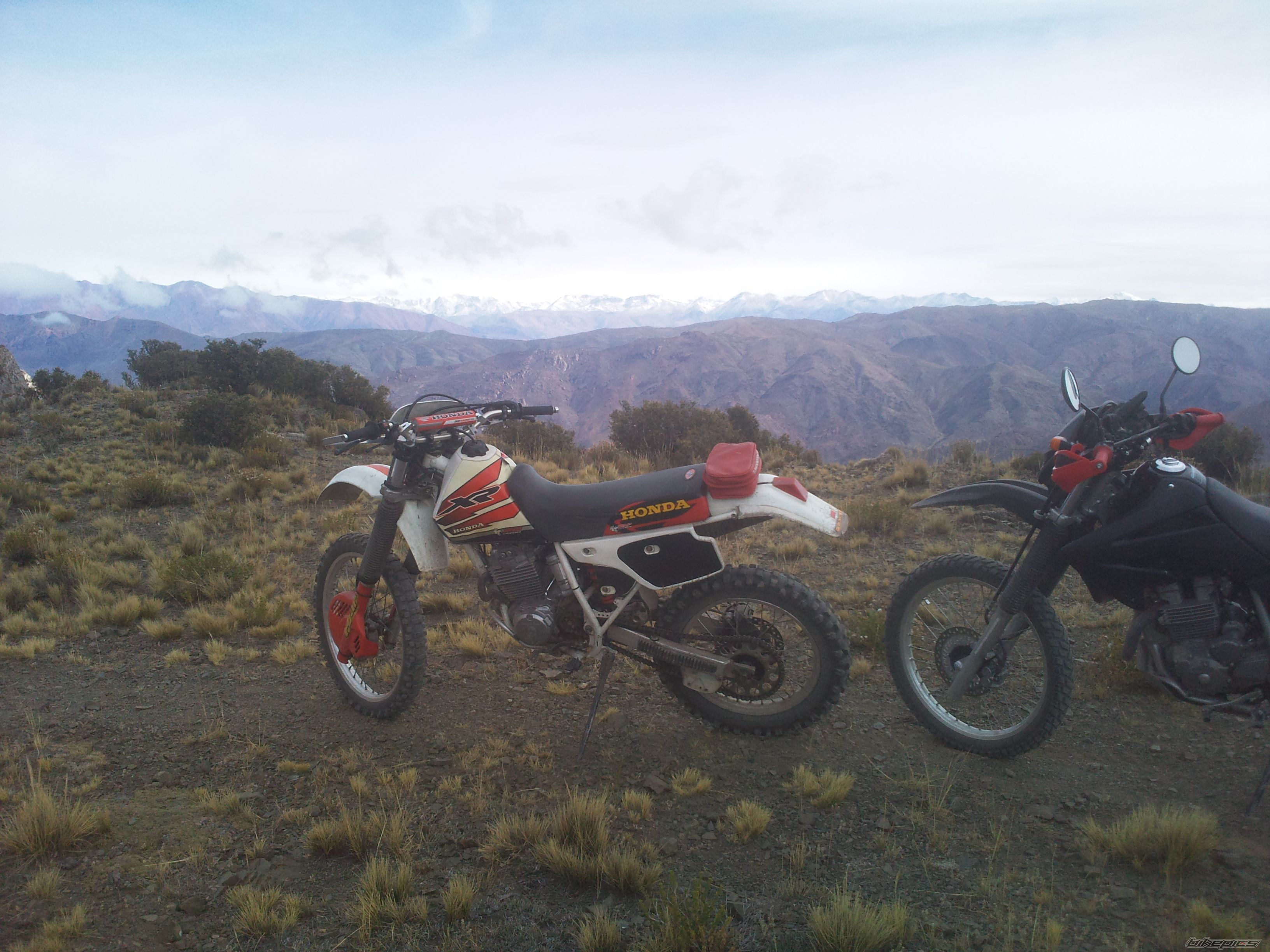 Photo 2395293