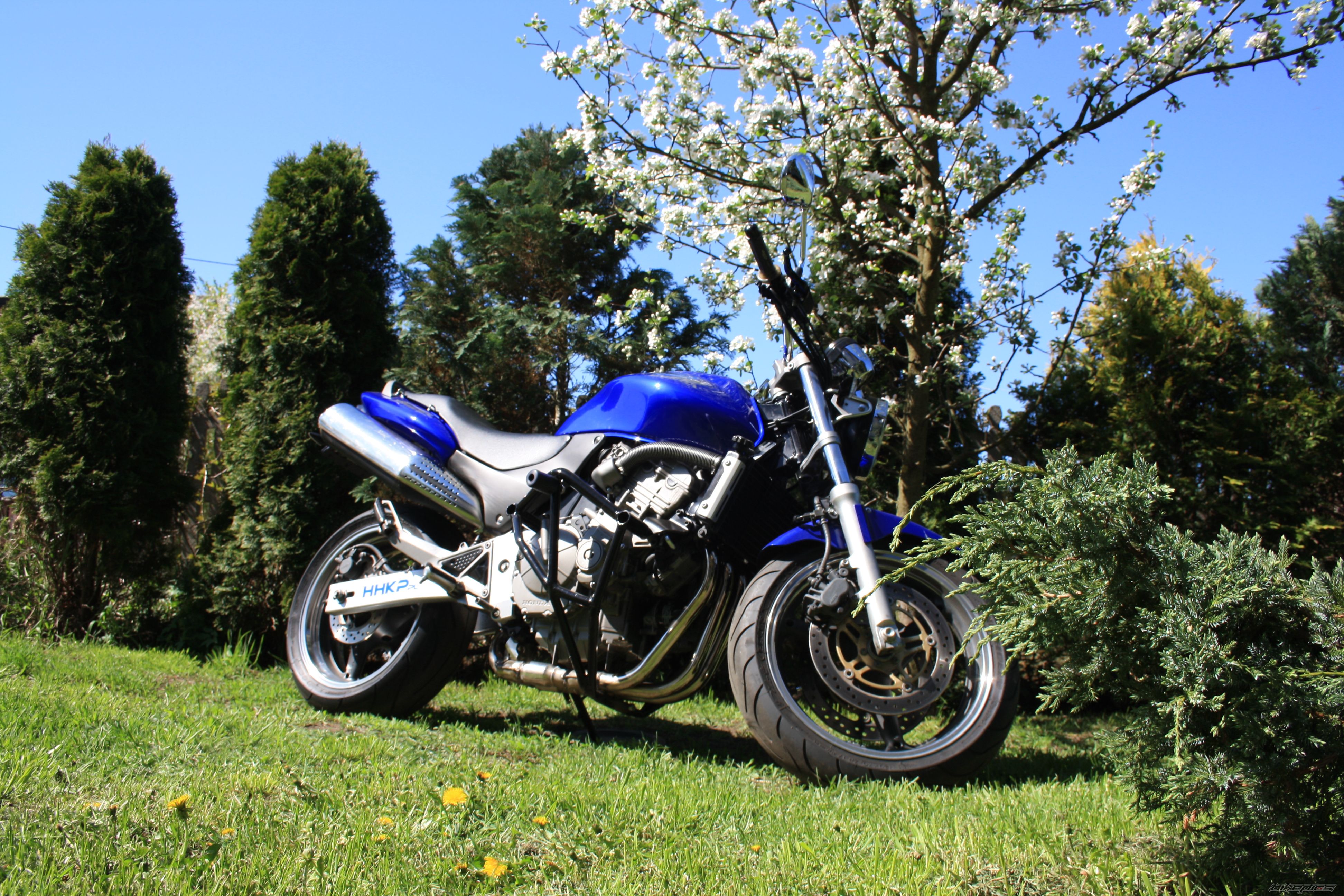 Bike Photo 2395395