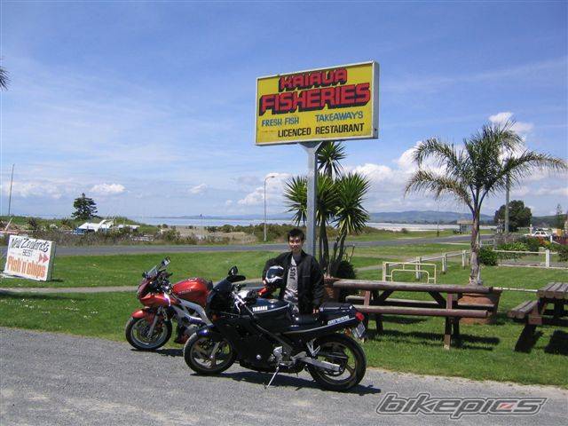 Bike Photo 239542
