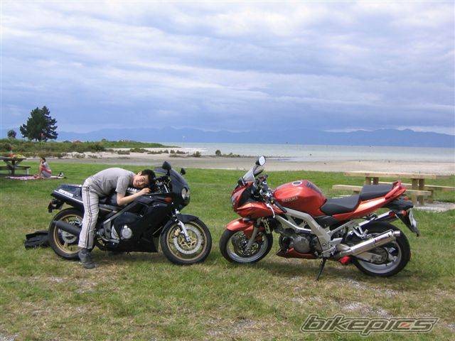 Bike Photo 239544